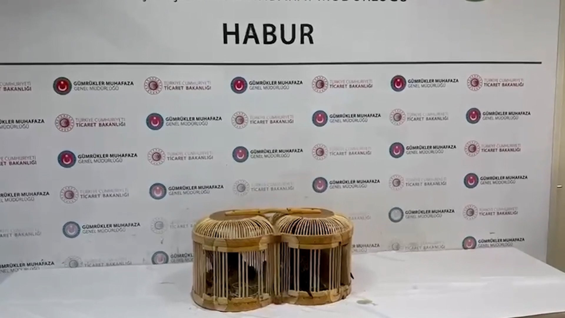 CITES Kapsamındaki Hayvanlar