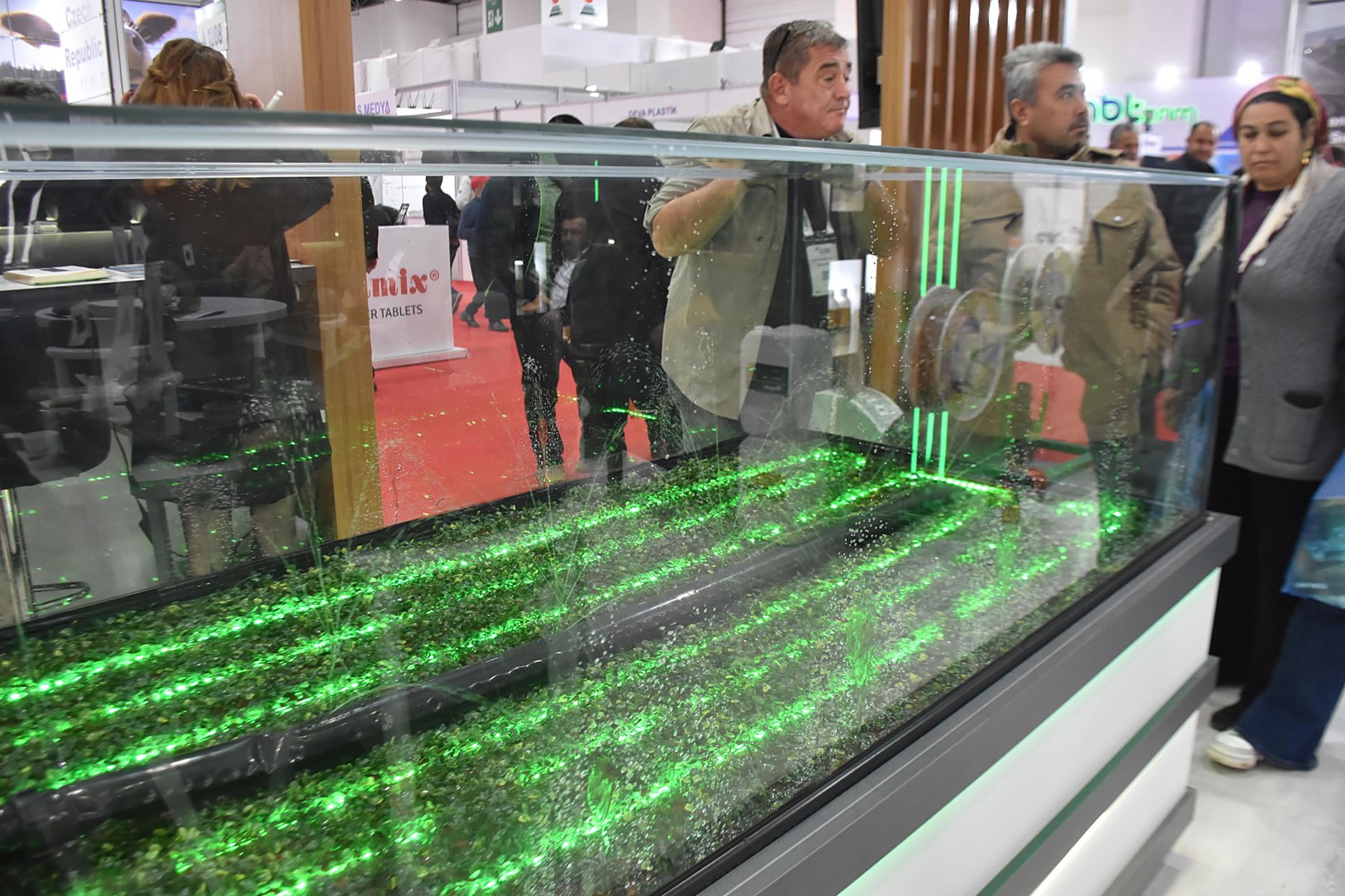 AGROEXPO Fuarı Stantları