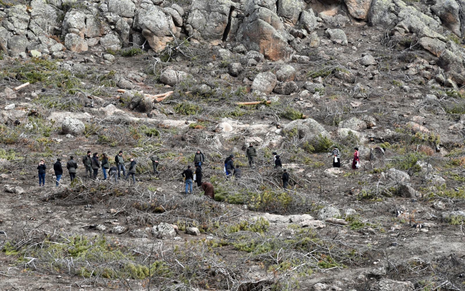 Eskişehir Orman Bölge Müdürlüğü ağaçlandırma çalışması
