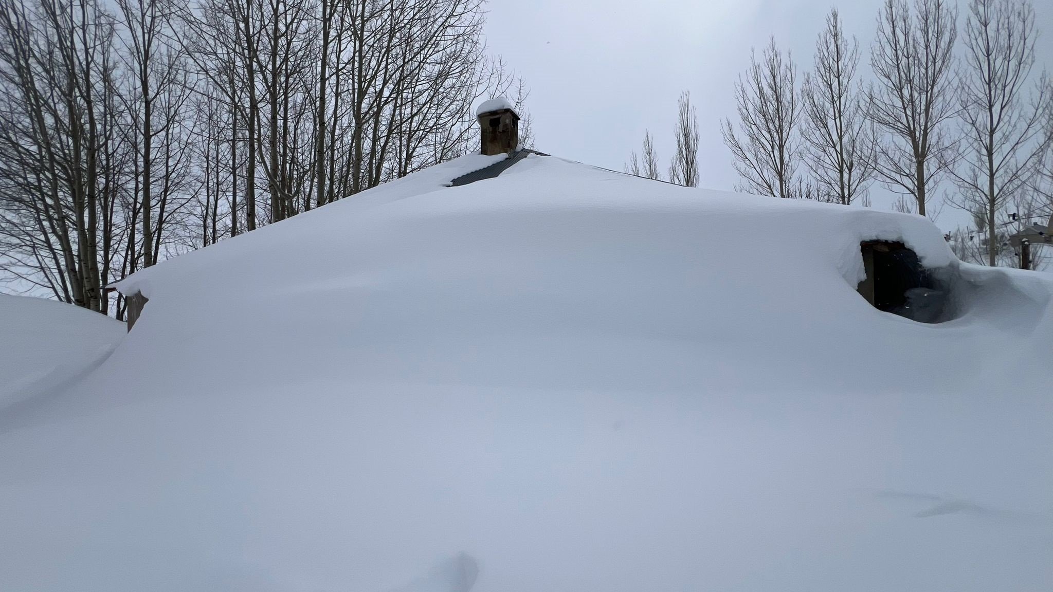 Yüksekova kar felaketi evler kara gömüldü