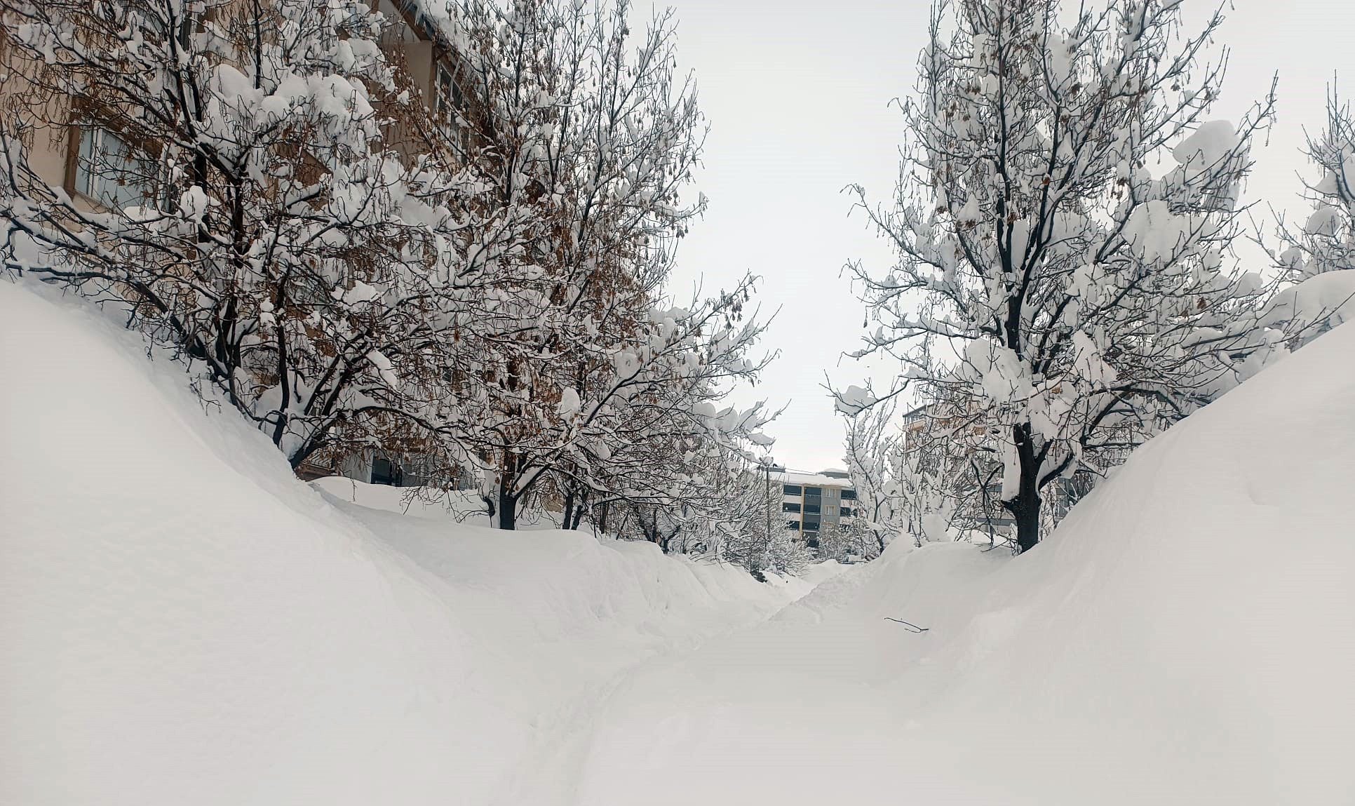 Bitlis okullar kar tatili