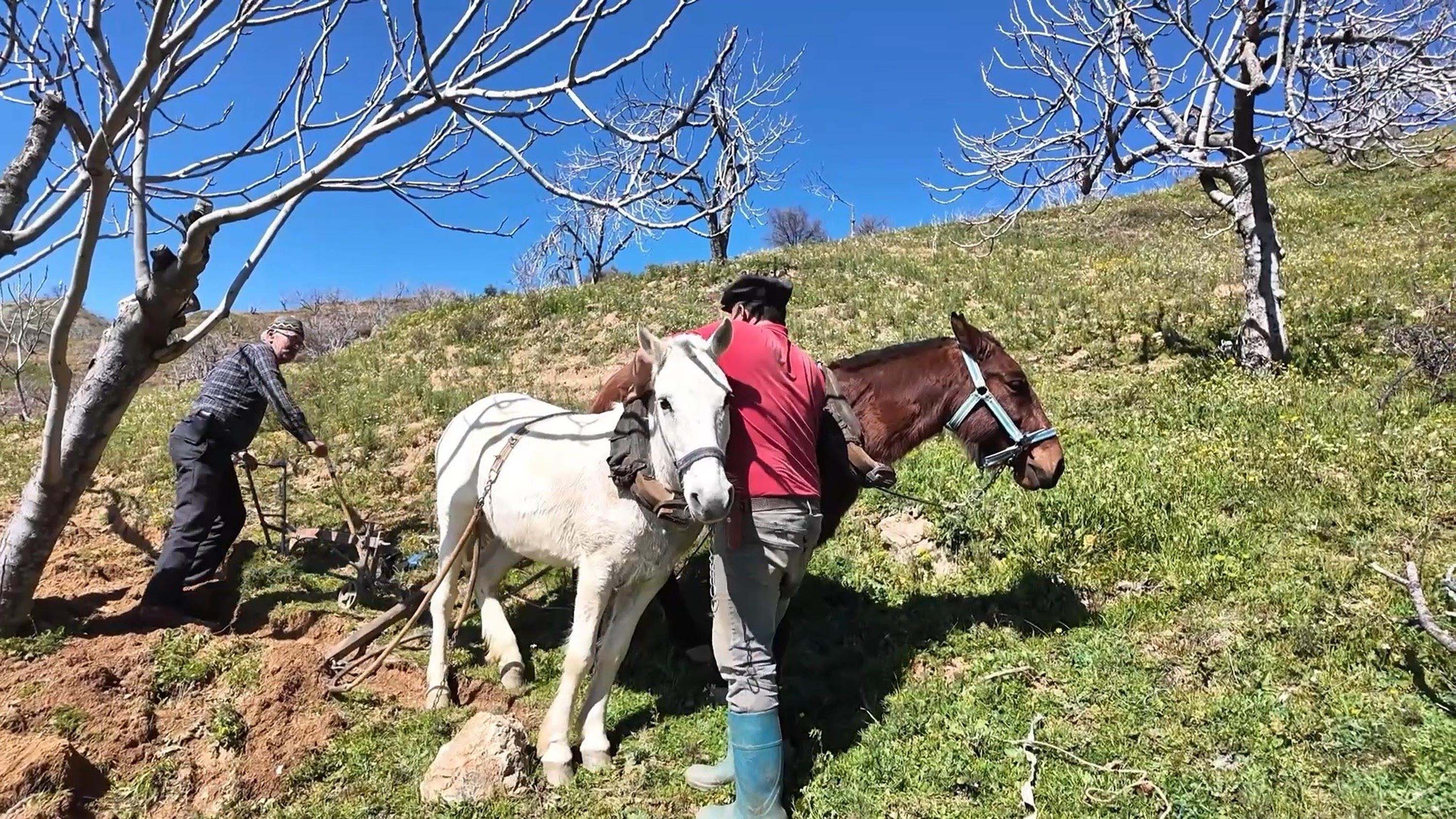 Çiftçi Ruhi Doğan