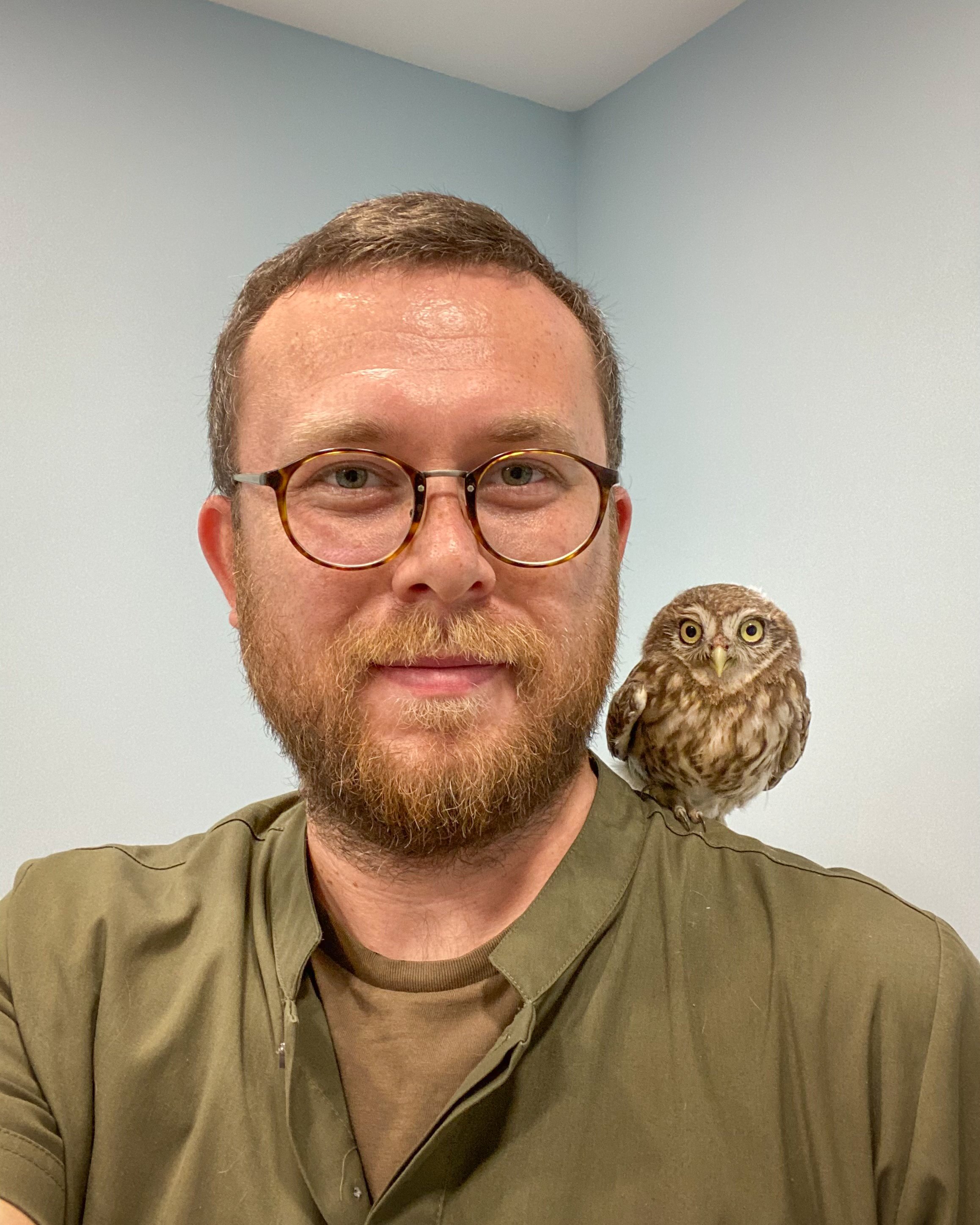 Kumköy sahilinde caretta caretta