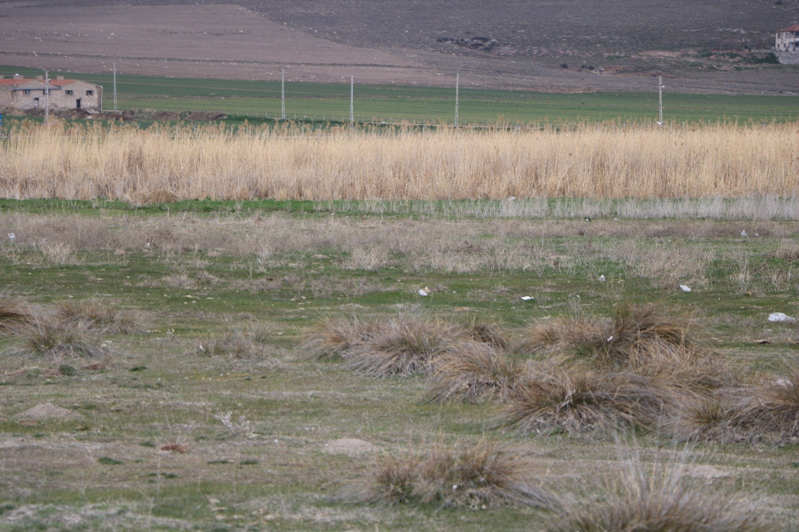 Kurumuş Engir Gölü Havadan Görünüm