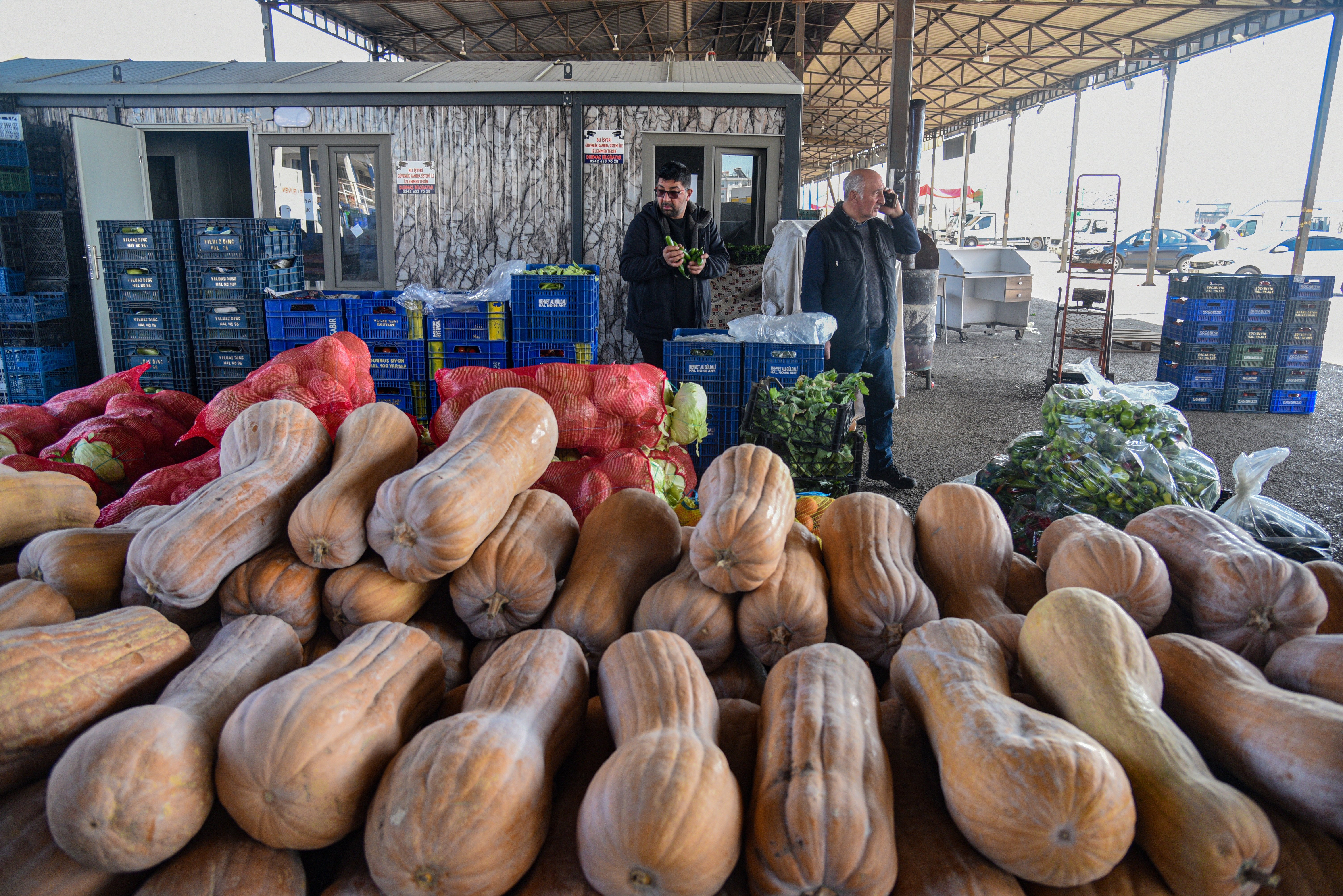 Antalya Hali Sebze Çeşitleri