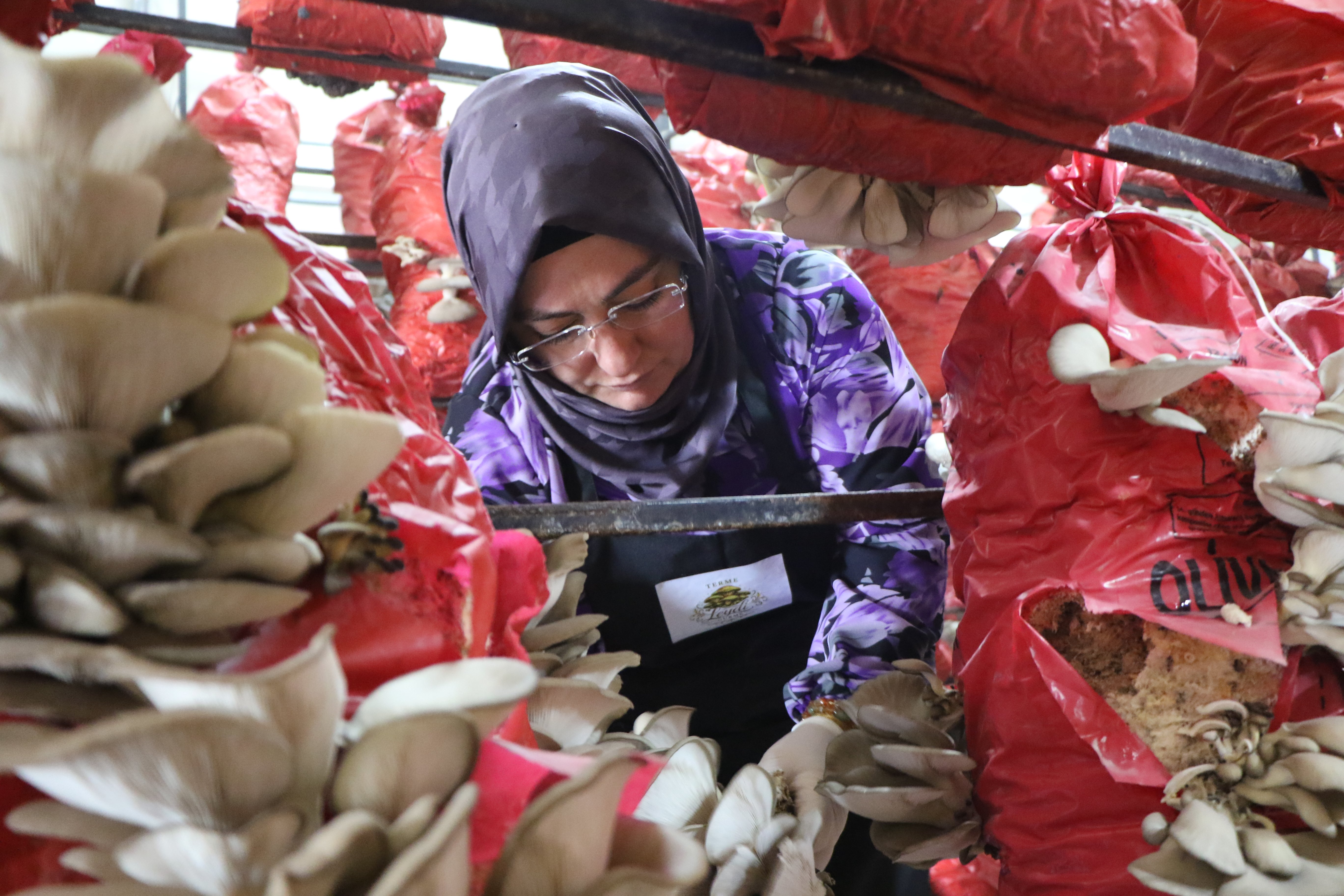Kadın Girişimciler Kooperatifte