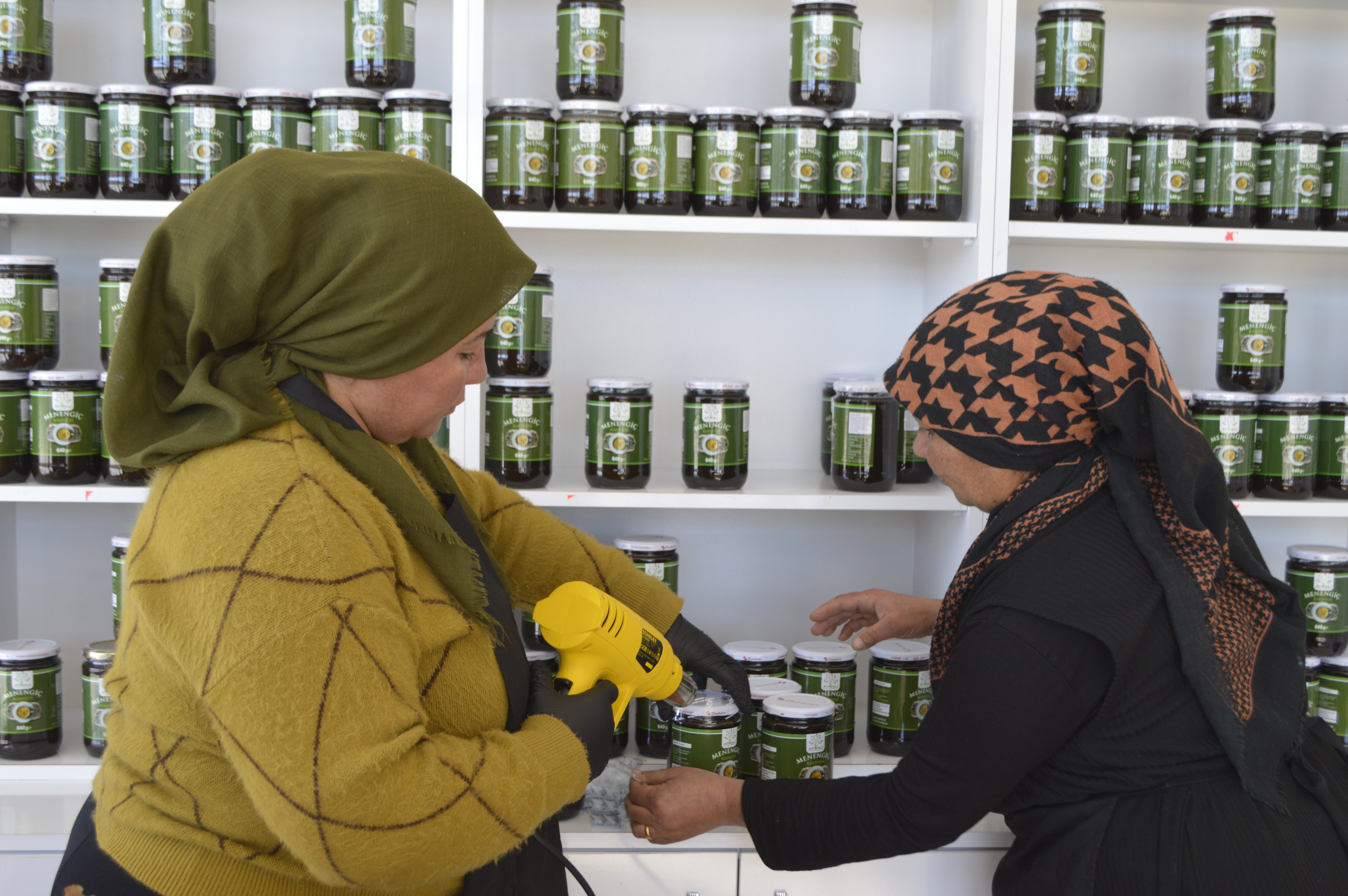 Adıyaman Kadın Girişimi