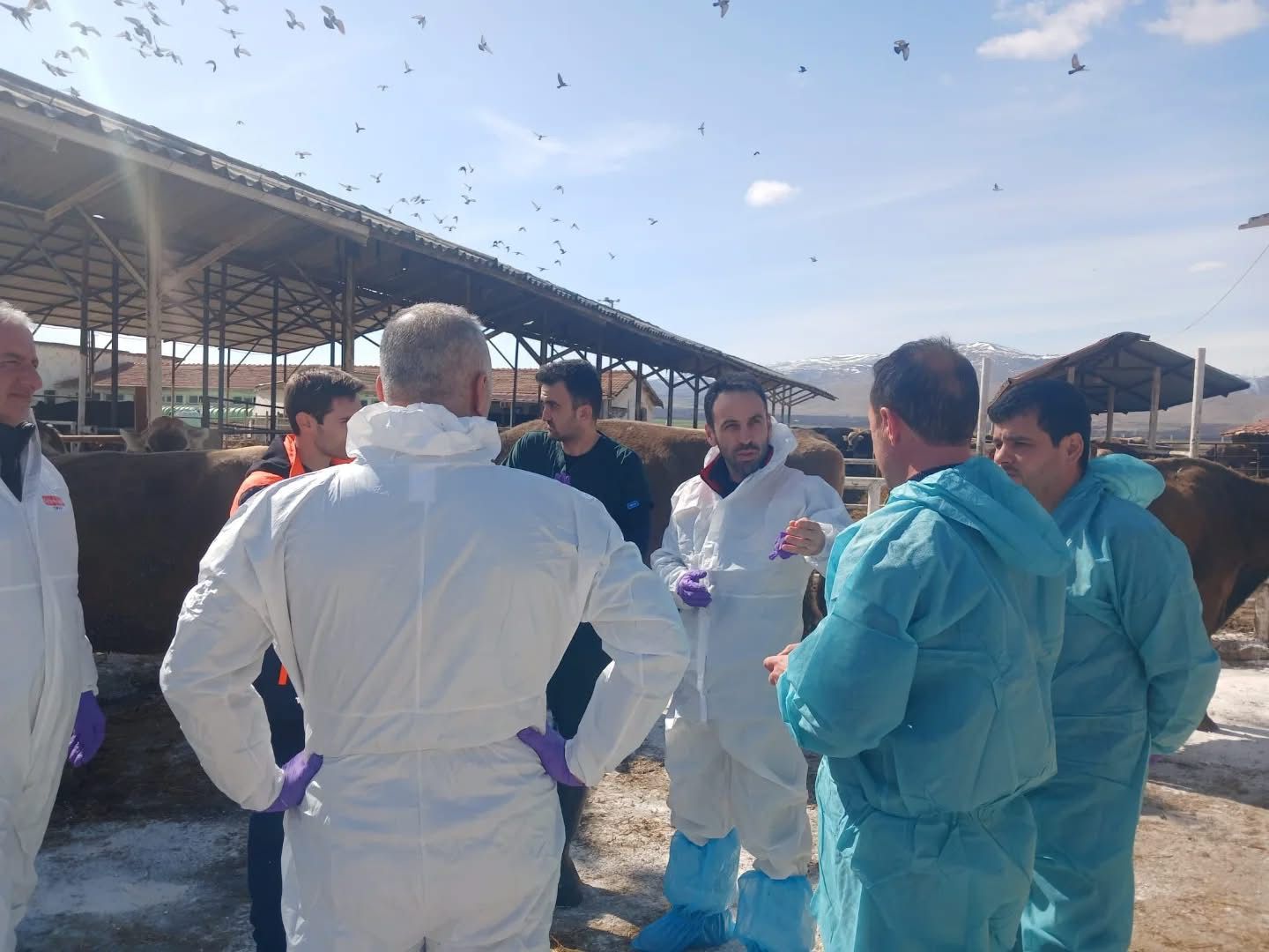 TİGEM Sultansuyu İşletmesi Hayvan Çiftliği