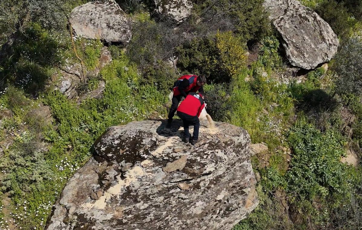 Vakıflar Genel Müdürlüğü flamingo yemleme çalışması