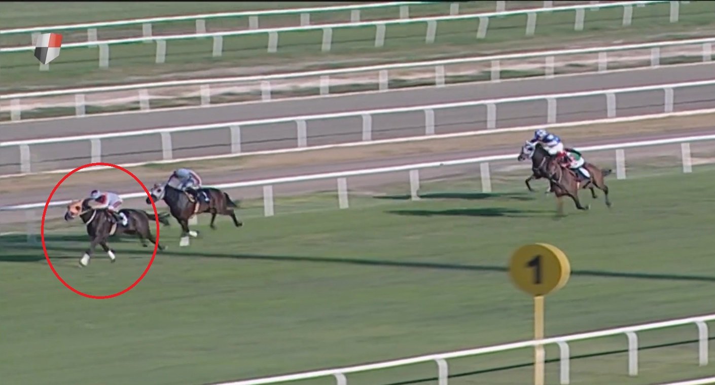 Suat Topçu yarış atı skandalı