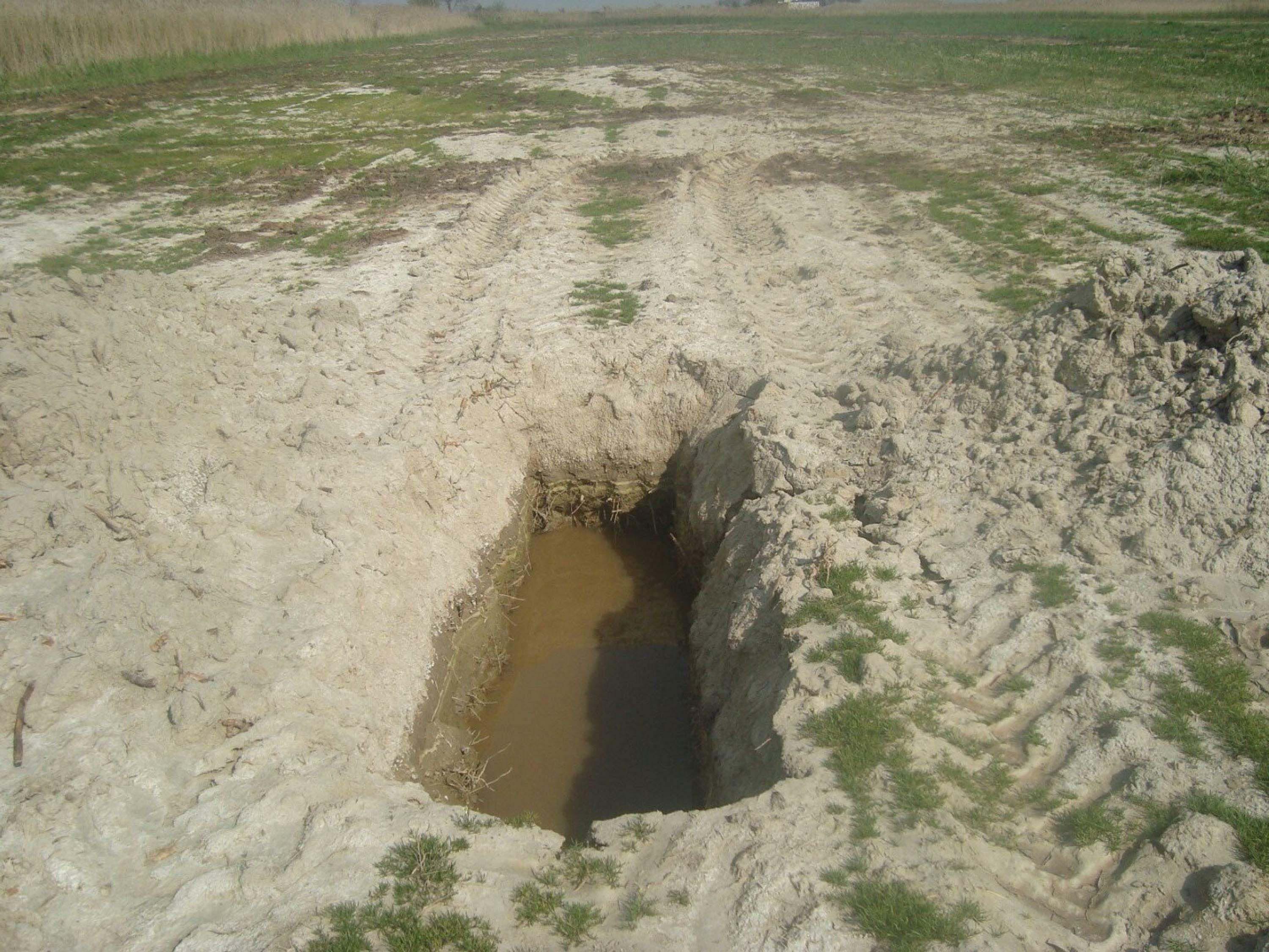 Prof. Dr. Murat Türkeş kuraklık uyarısı