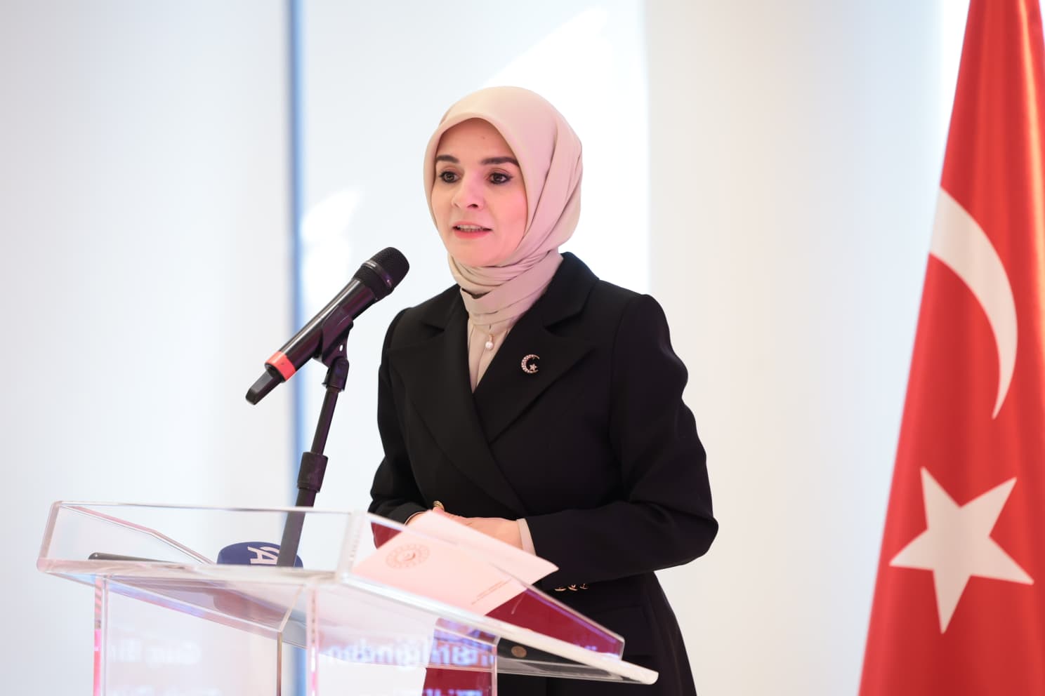 Bakan Göktaş uluslararası temsilcilerle görüşürken