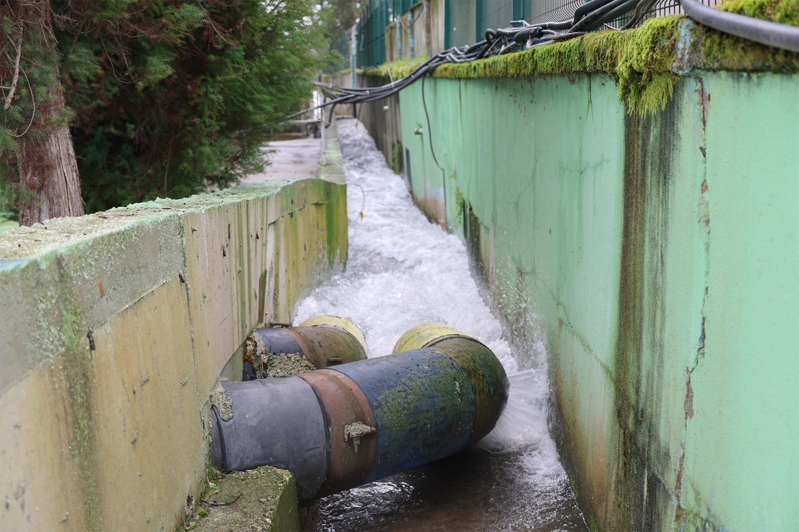 Sapanca Gölü kuraklık