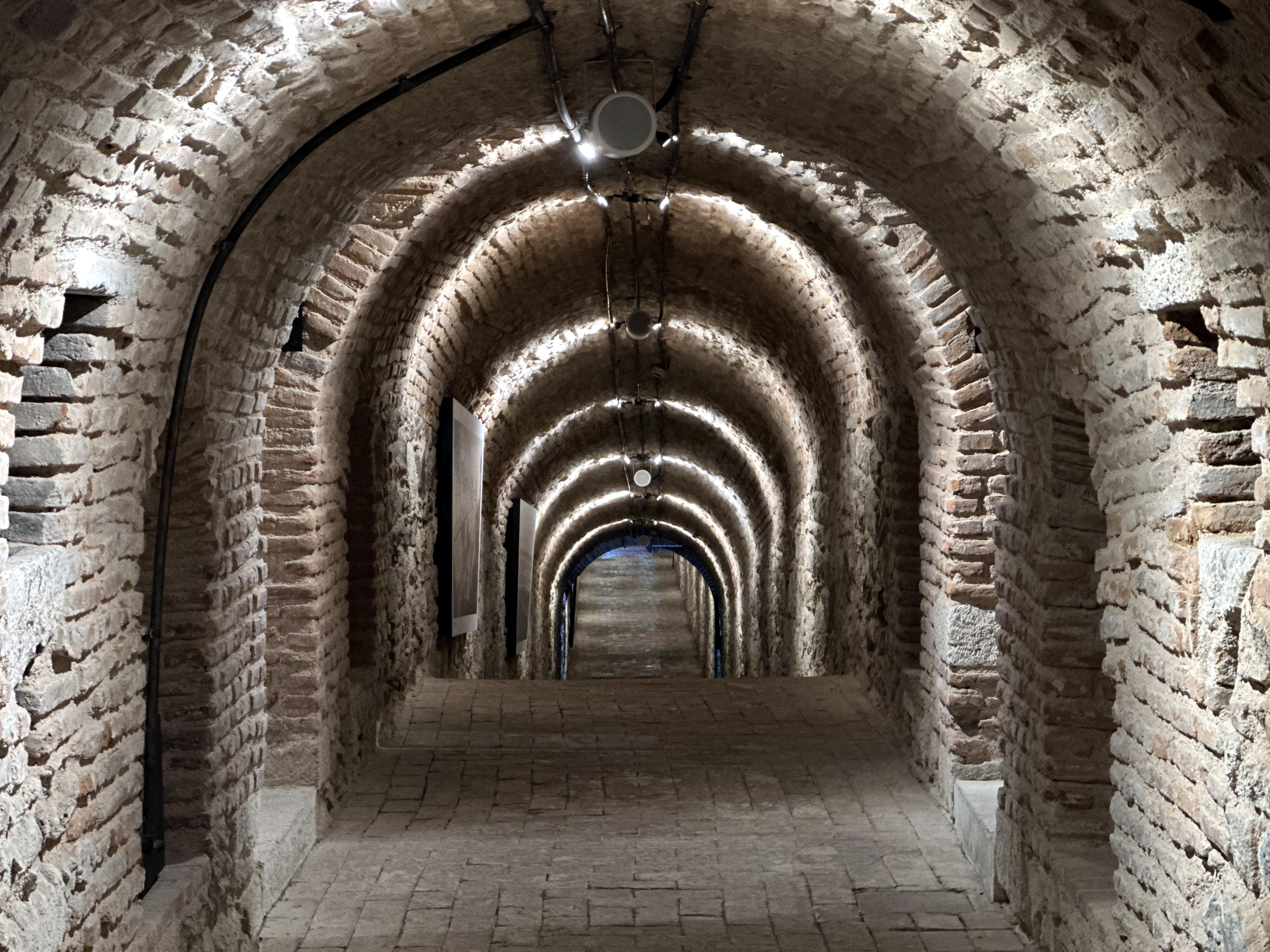 TÜ Senatosu üyeleri tabyada