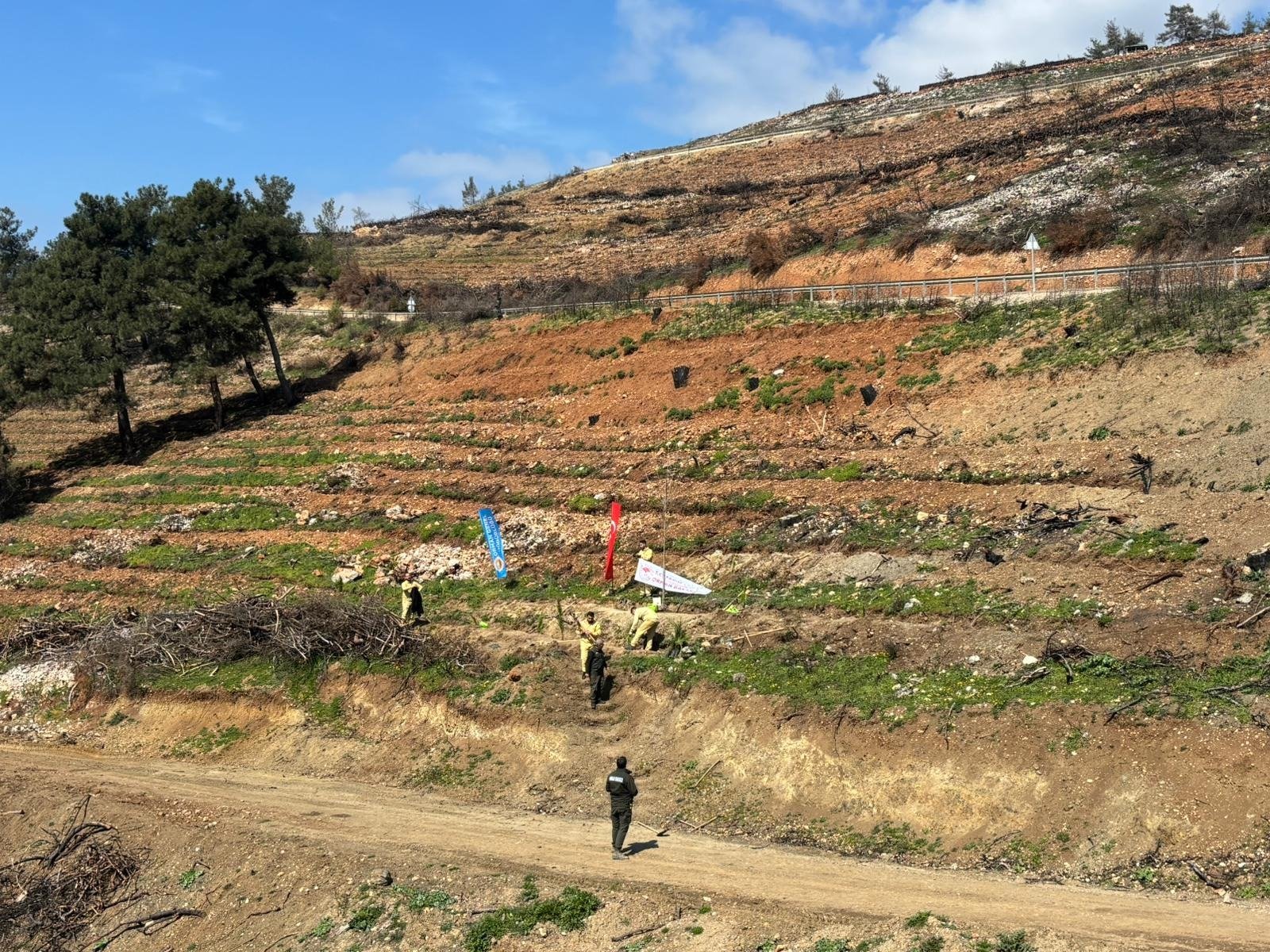 Bursa Orman Bölge Müdürü Erdal Şahan açıklama yapıyor