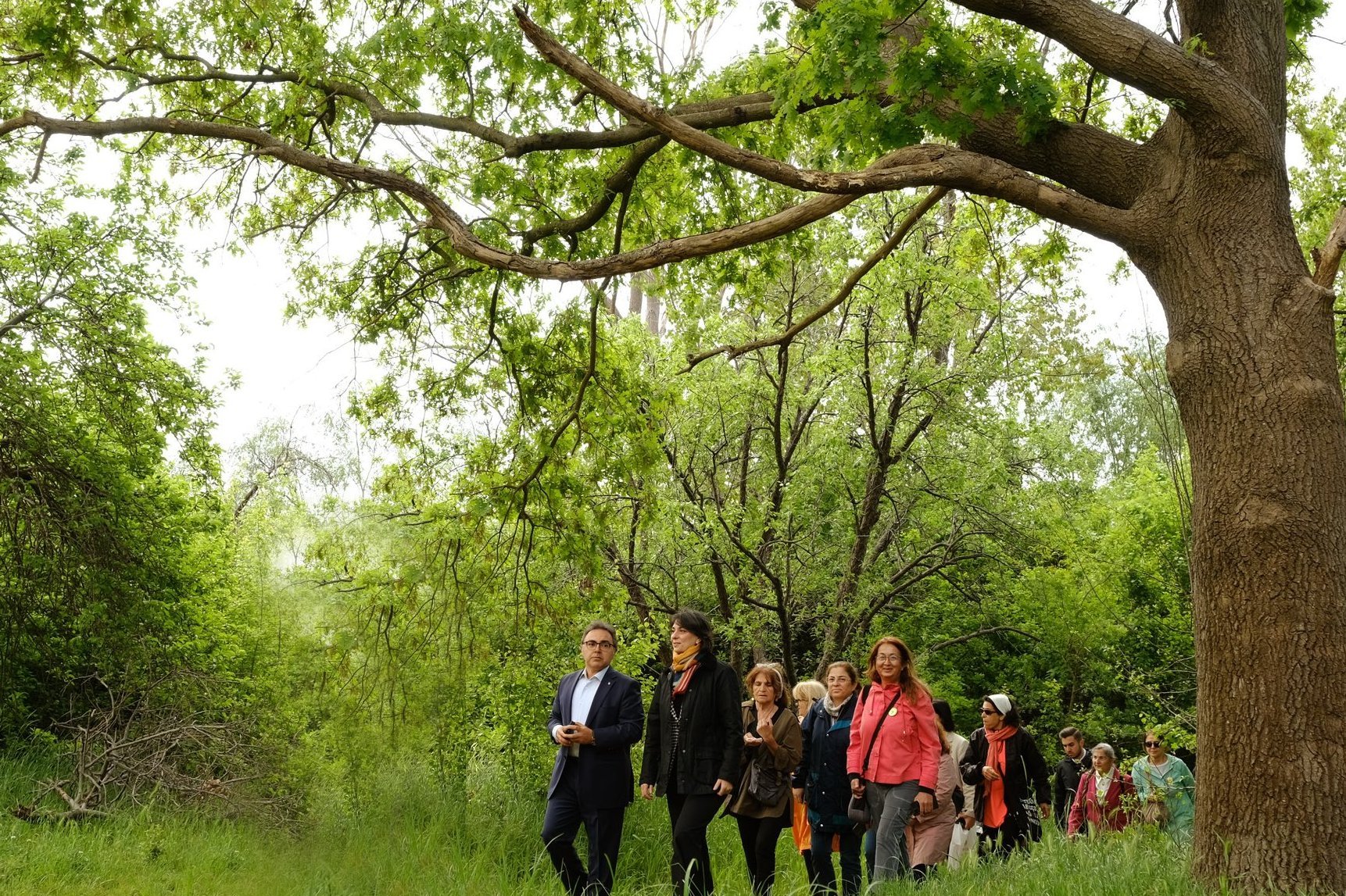 Validebağ Korusu Havadan Görünüm