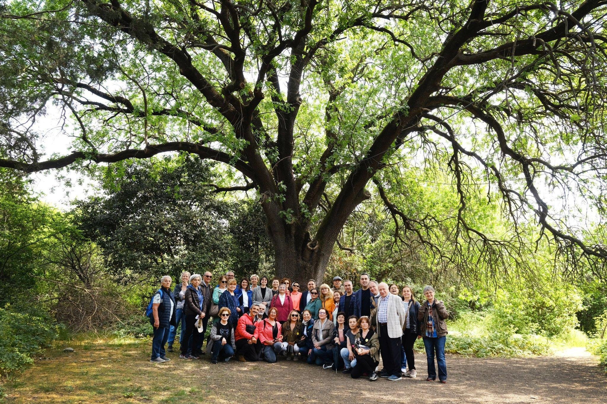 Validebağ Korusu Koruma Çalışmaları