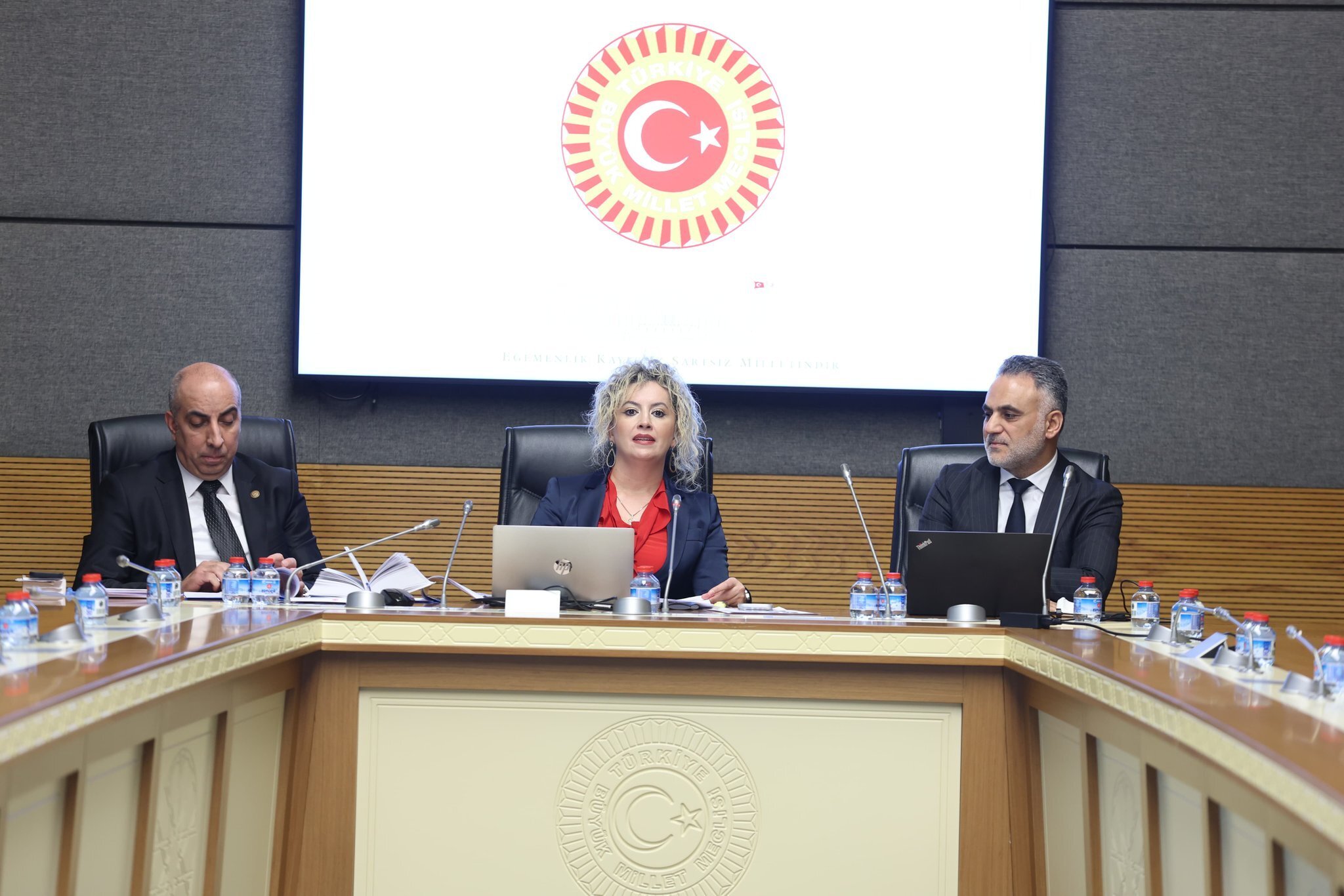 Ankara Cumhuriyet Başsavcı Vekili Pınar Akdoğan TBMM sunumu