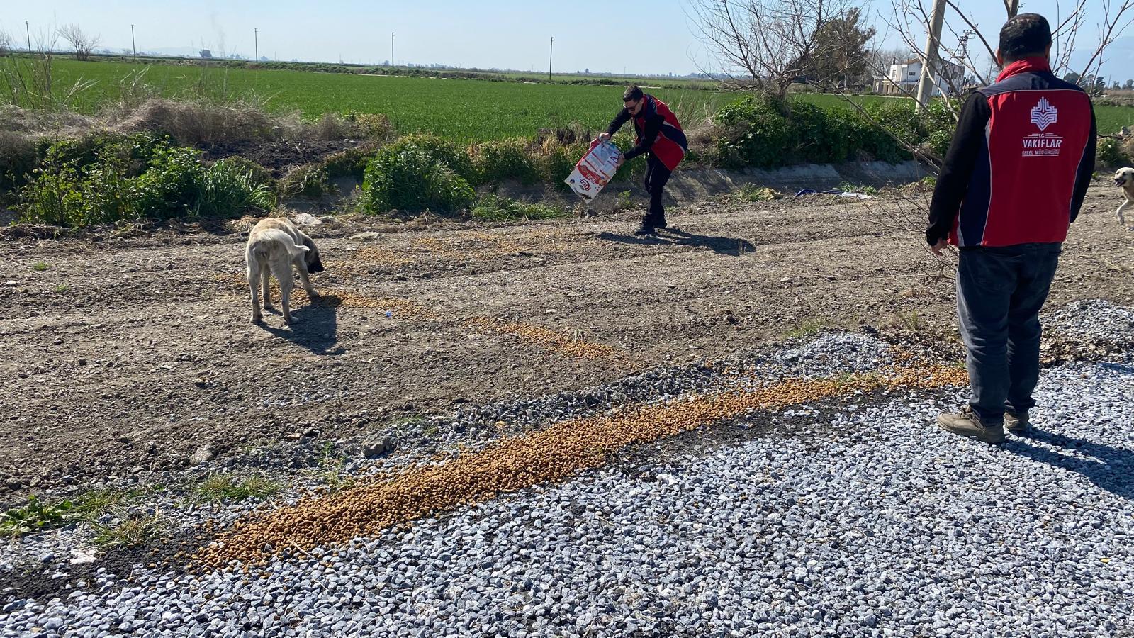 Kültür ve Turizm Bakanlığı Vakıflar Genel Müdürlüğü yaban hayatı