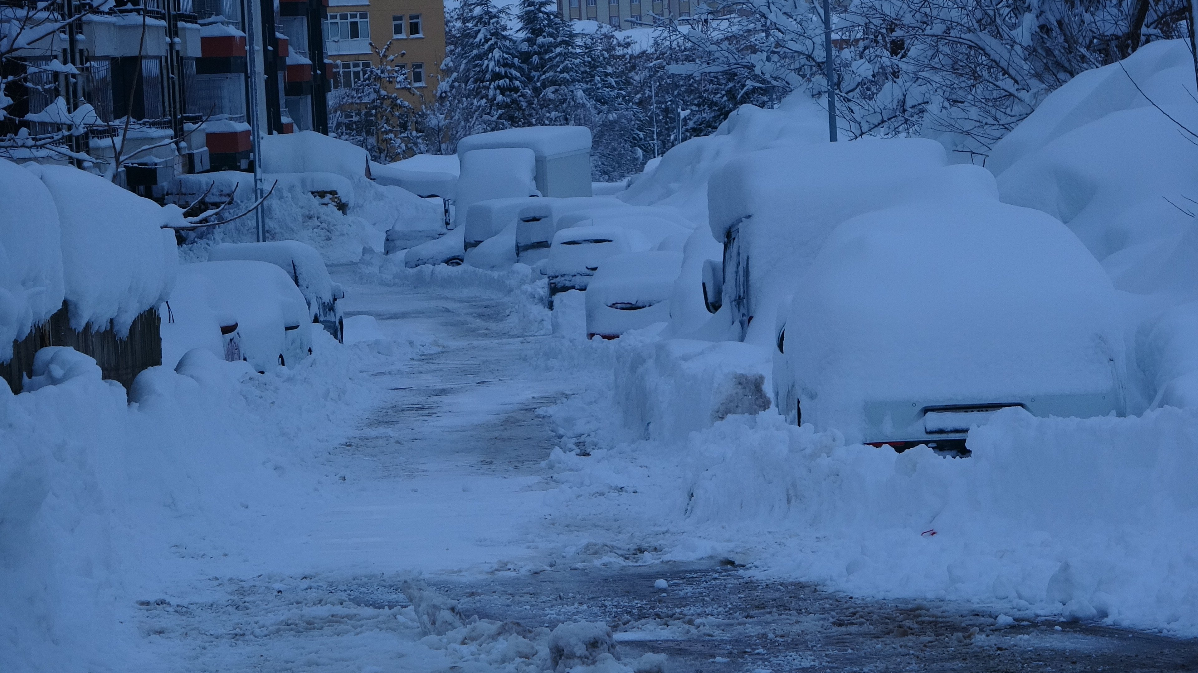 Bitlis kar temizleme ekipleri