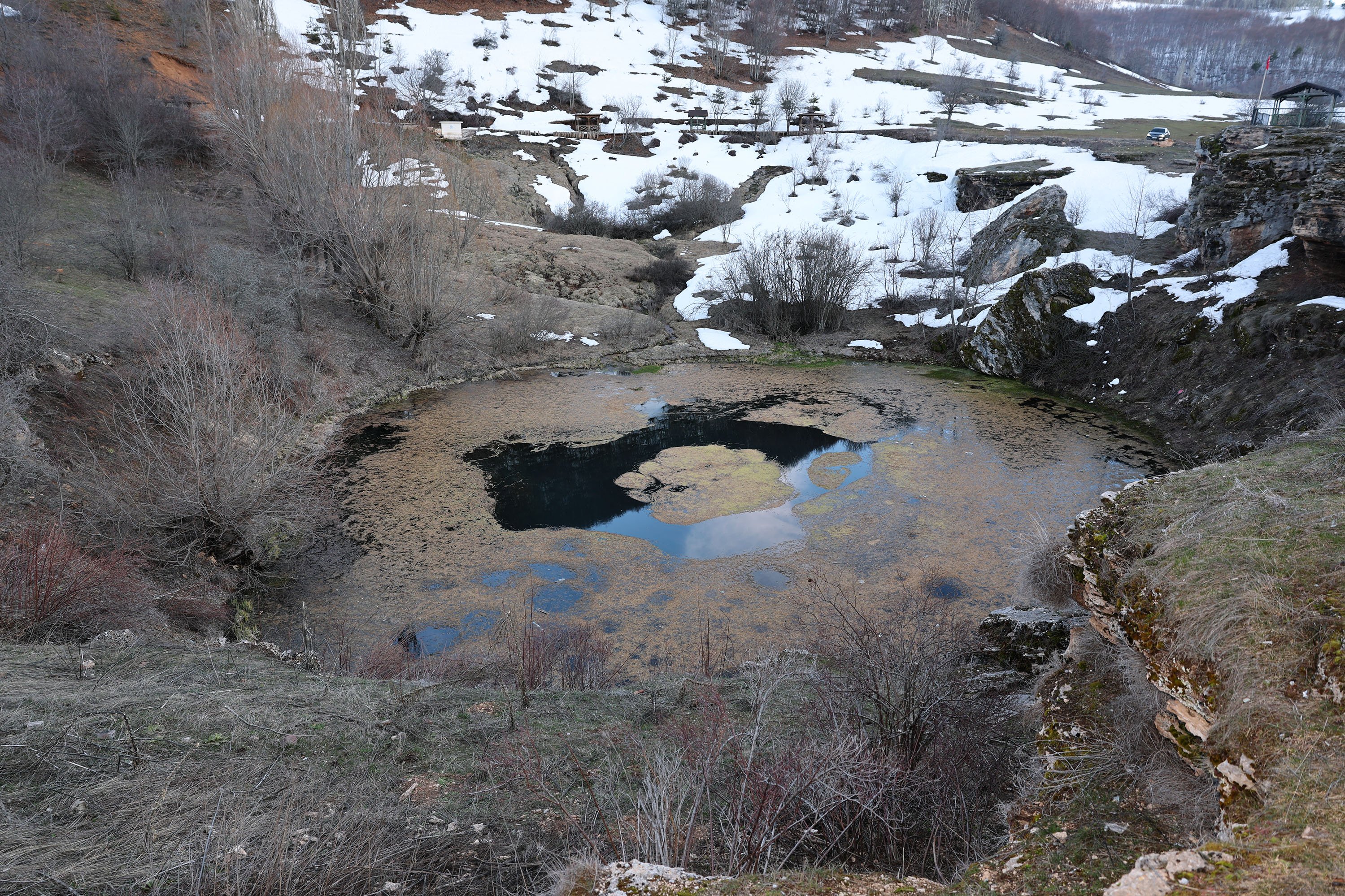 Dipsizgöl Tabiat Parkı orman dokusu