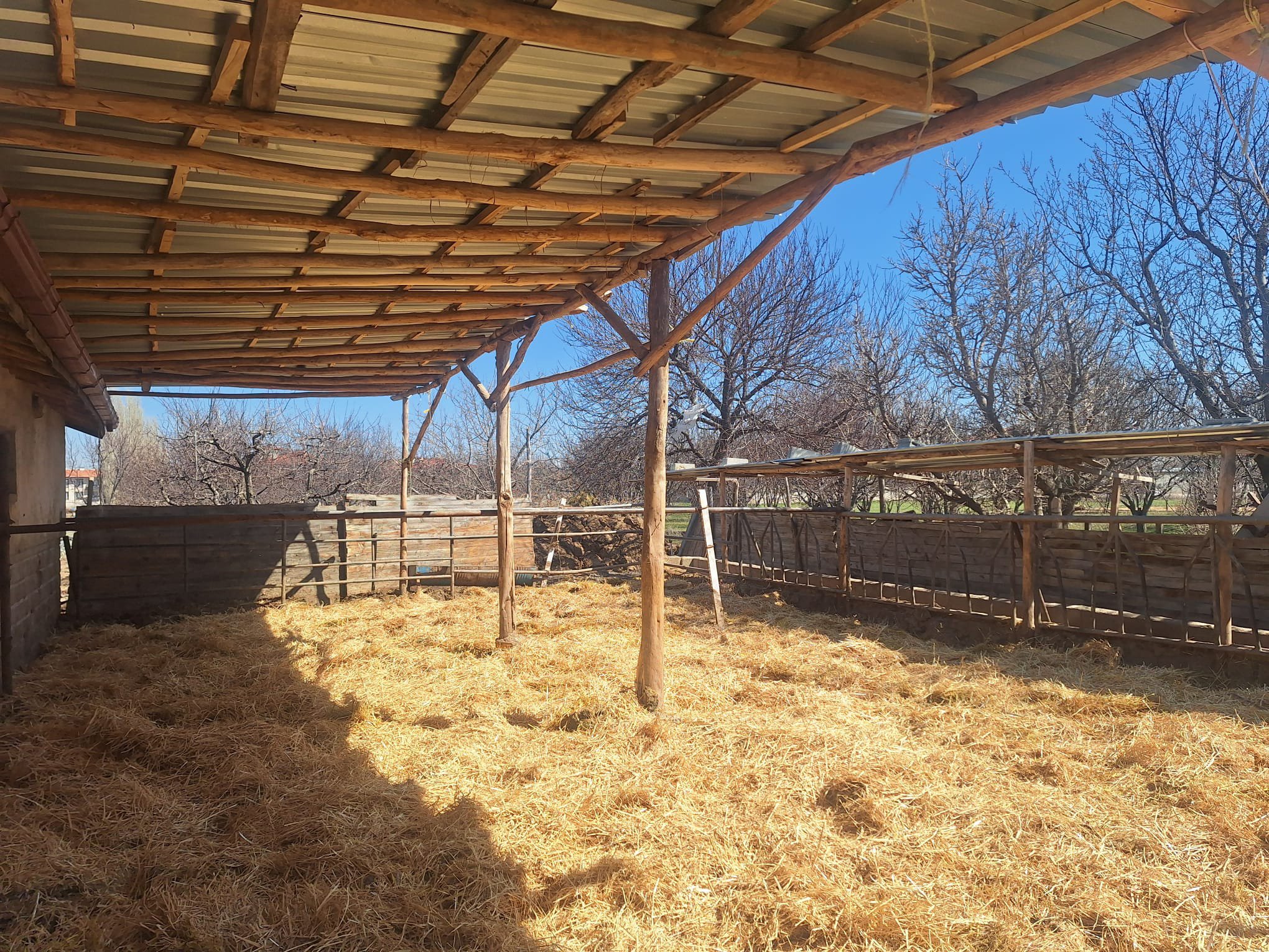 Konya Besi Çiftliği Denetimi Tarım ve Orman Bakanlığı