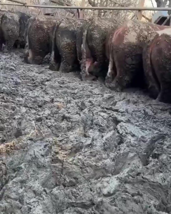 Tarım Bakanlığı Denetim Ekibi Konya Çiftlik