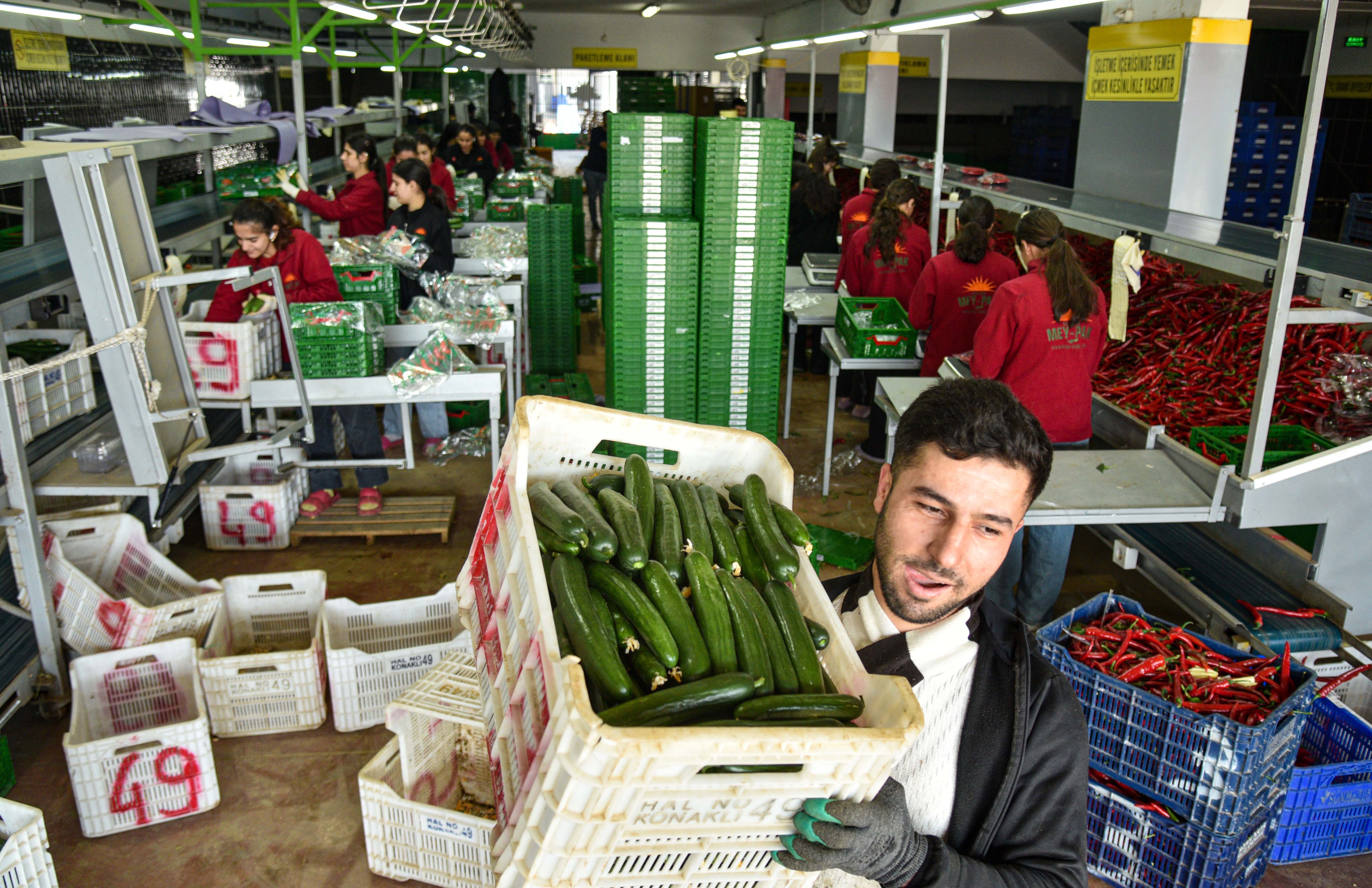 Türkiye Rusya Ticaret İlişkileri