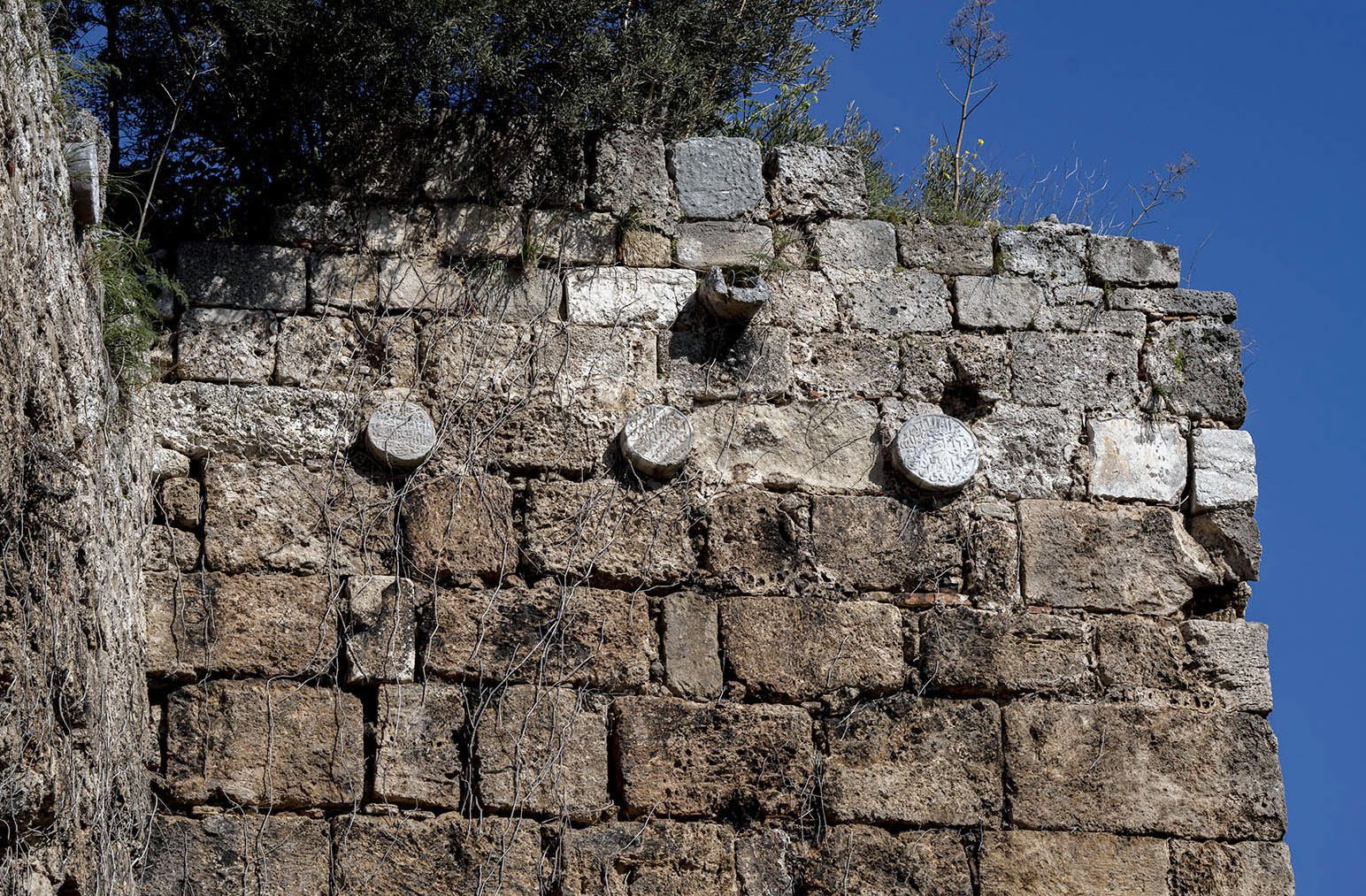 Selçuklu Dönemi Kitabe Detay