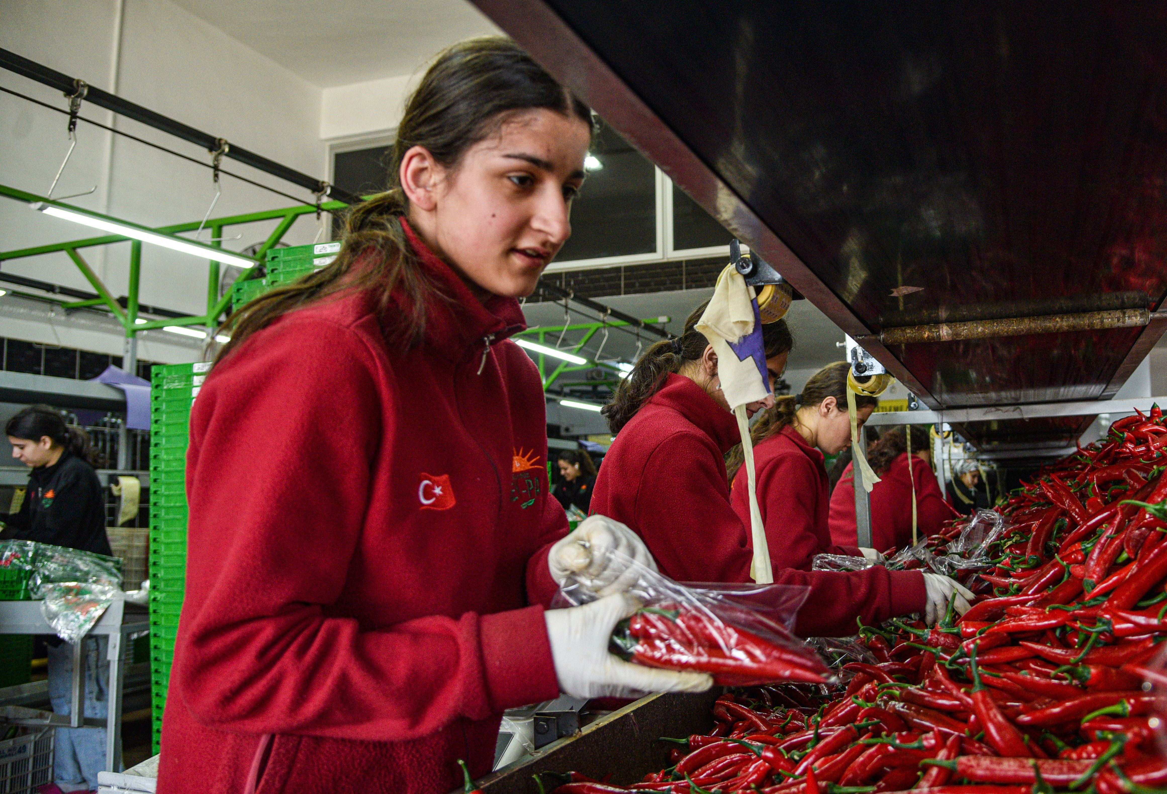 Antalya Hali Sebze Meyve İhracatı