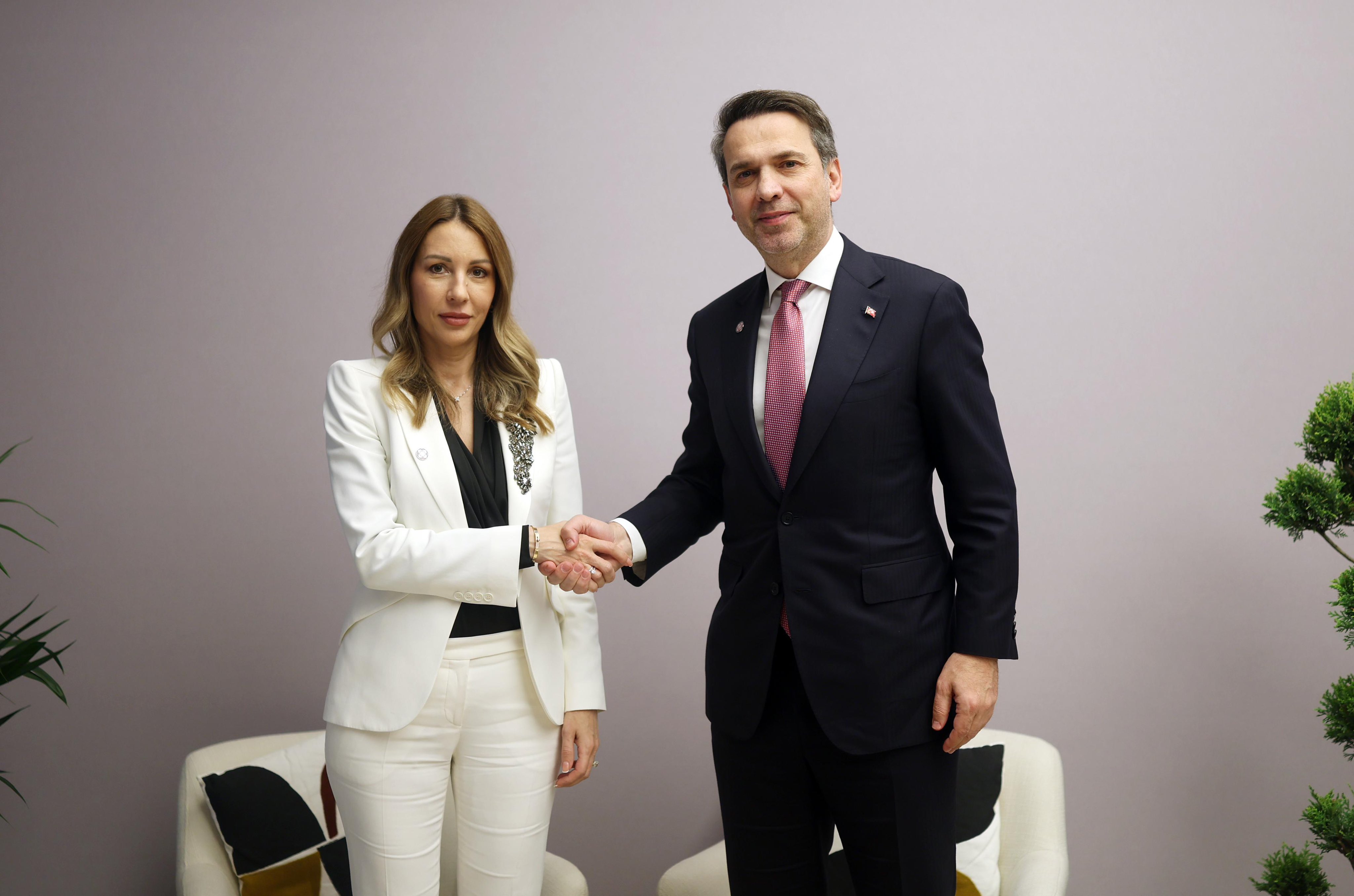 Bakan Bayraktar Romanya Enerji Bakanı görüşmesi