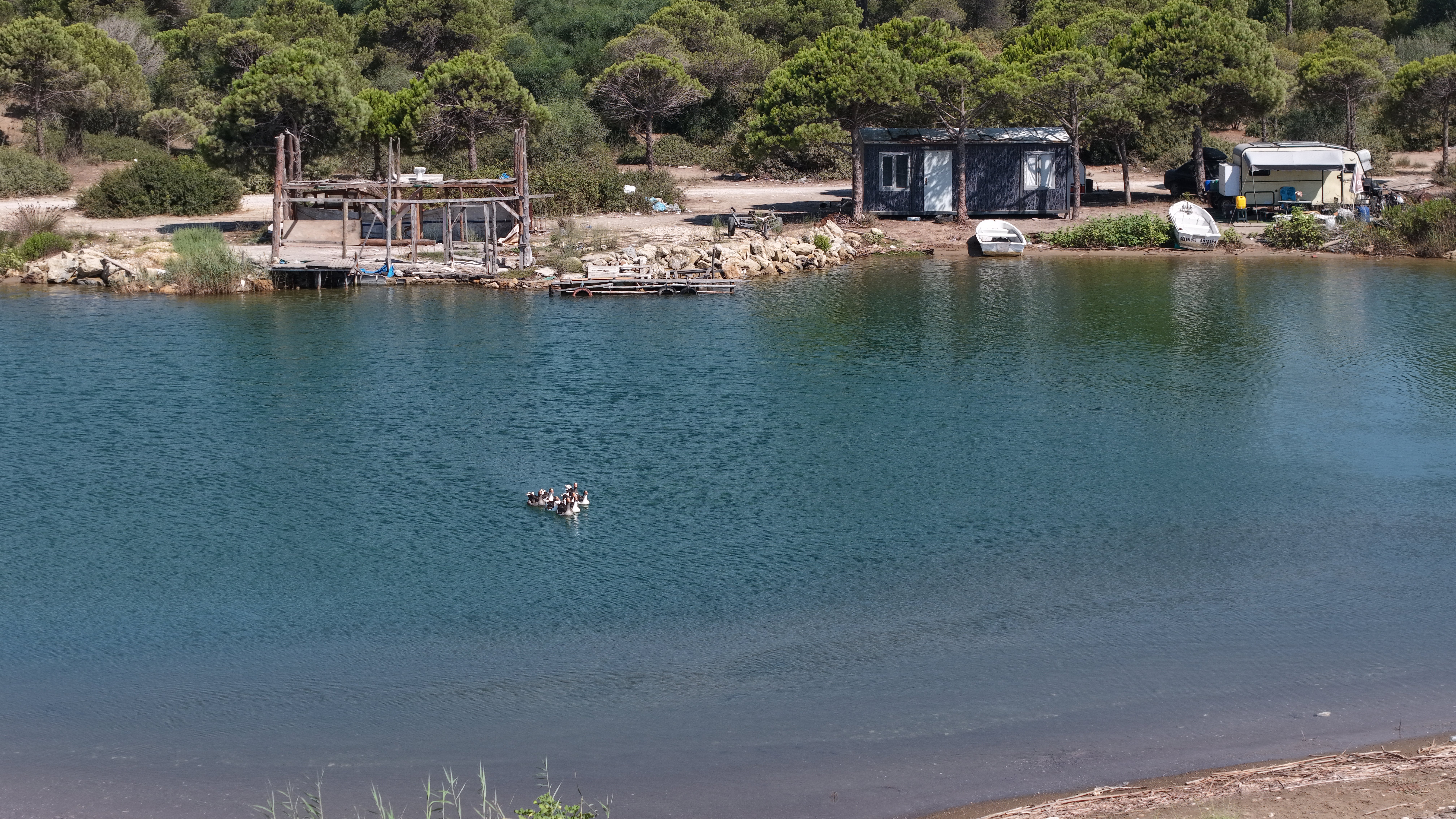 Beşgöz Nehri Kirlilik