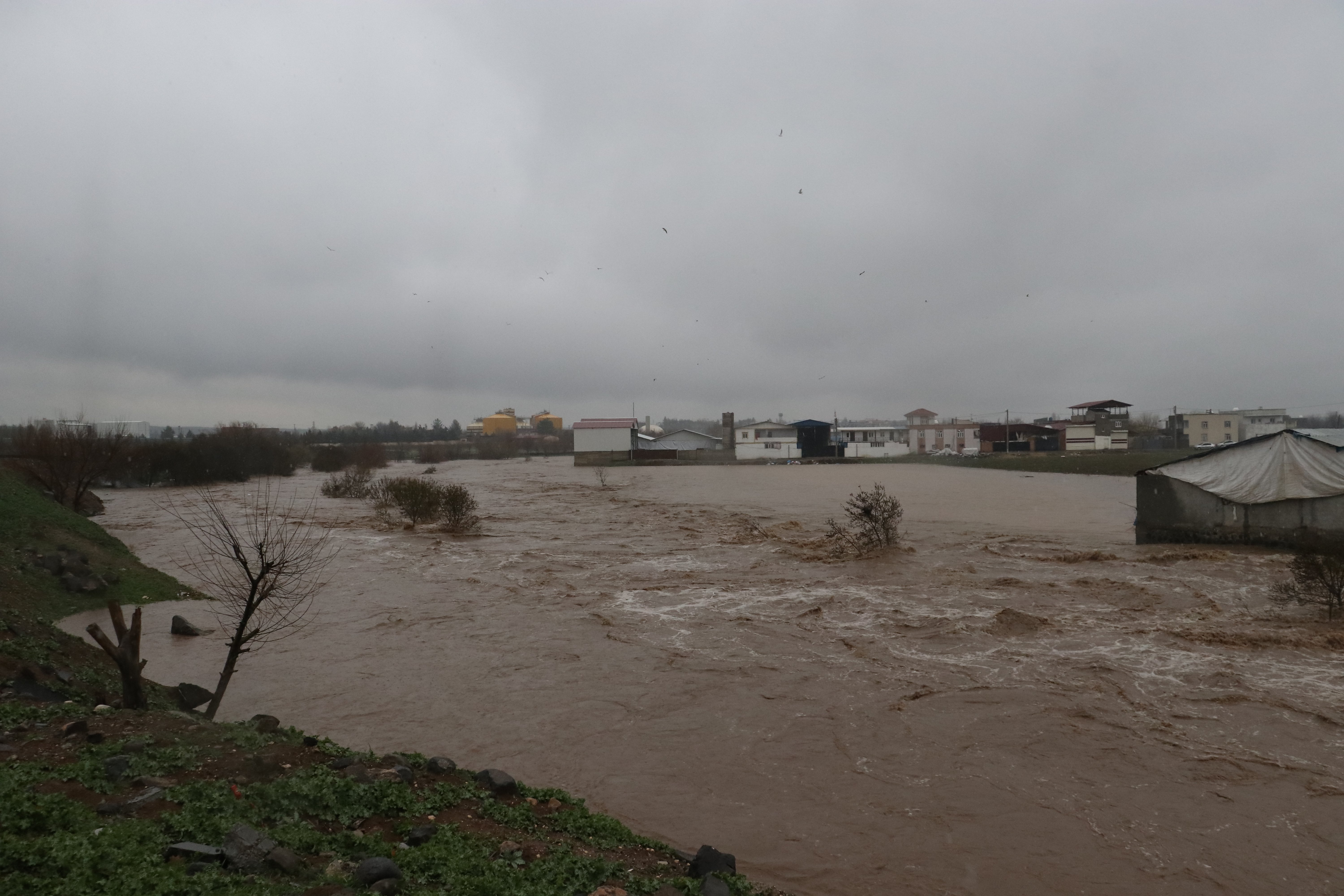Diyarbakır su taşkını tarım arazisi