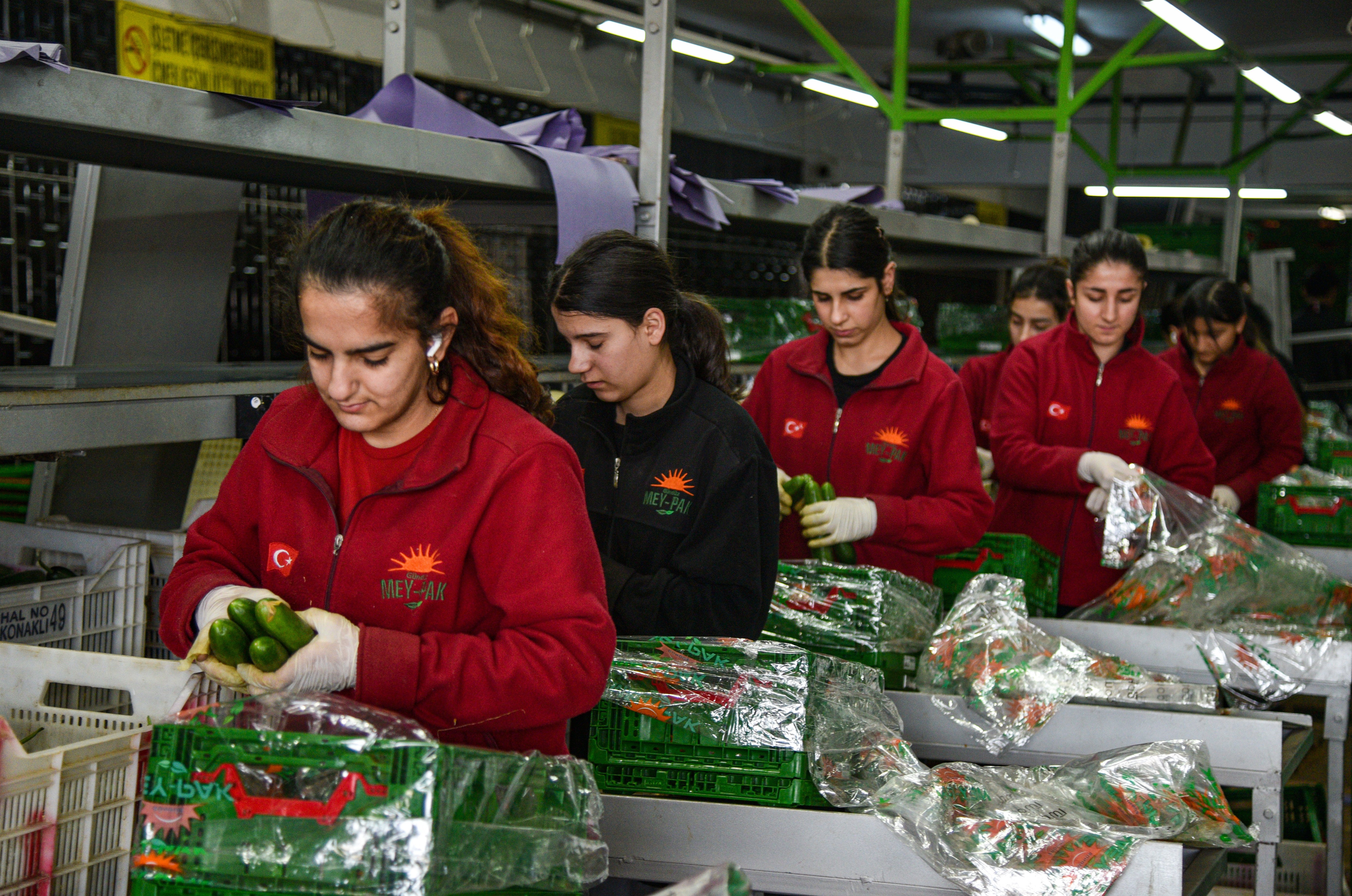 Antalya Hali Komisyoncular Derneği Başkanı