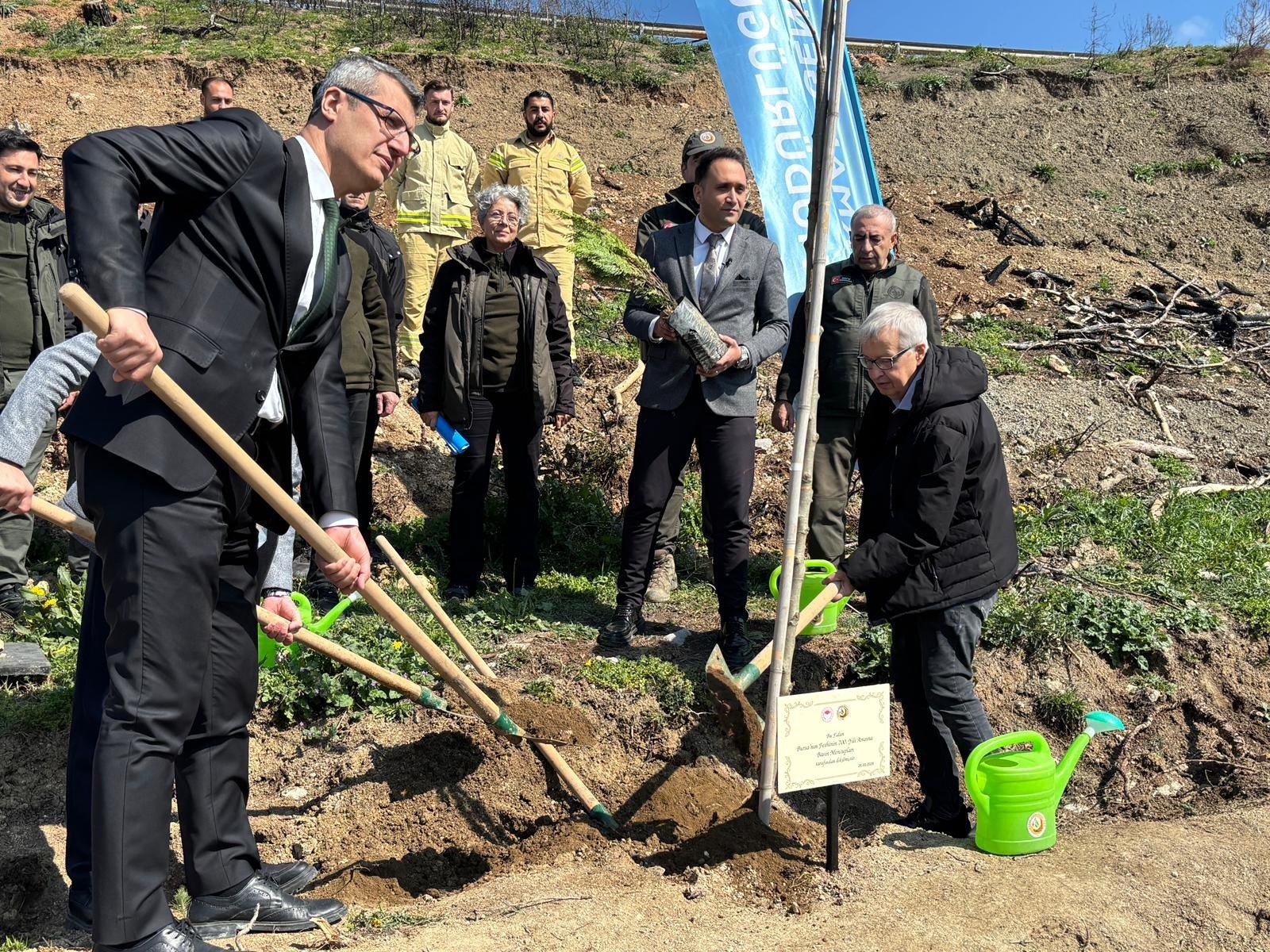 Bursa orman yangını sonrası ağaçlandırma alanı
