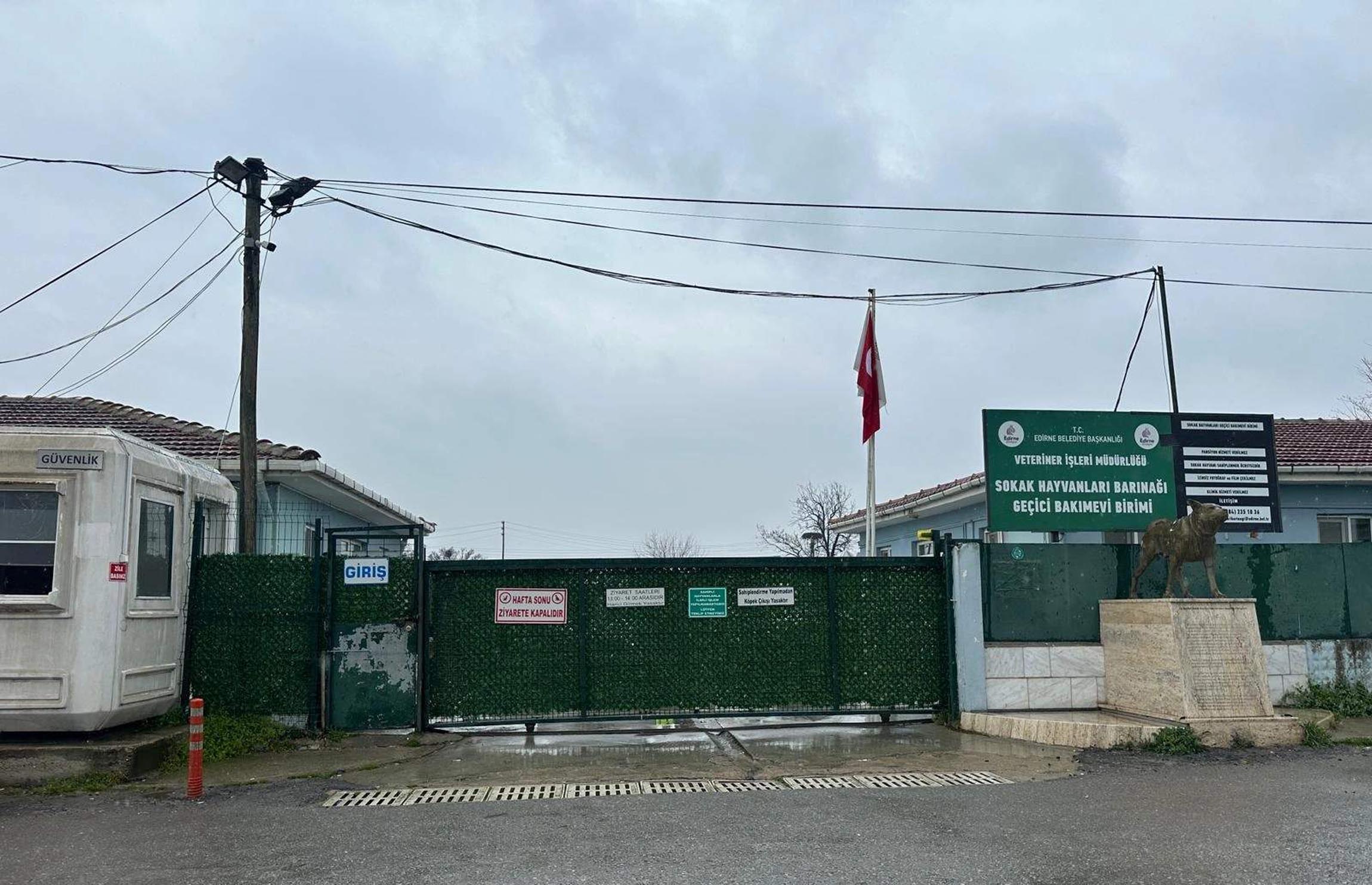 Köpek Sahiplenme Anı