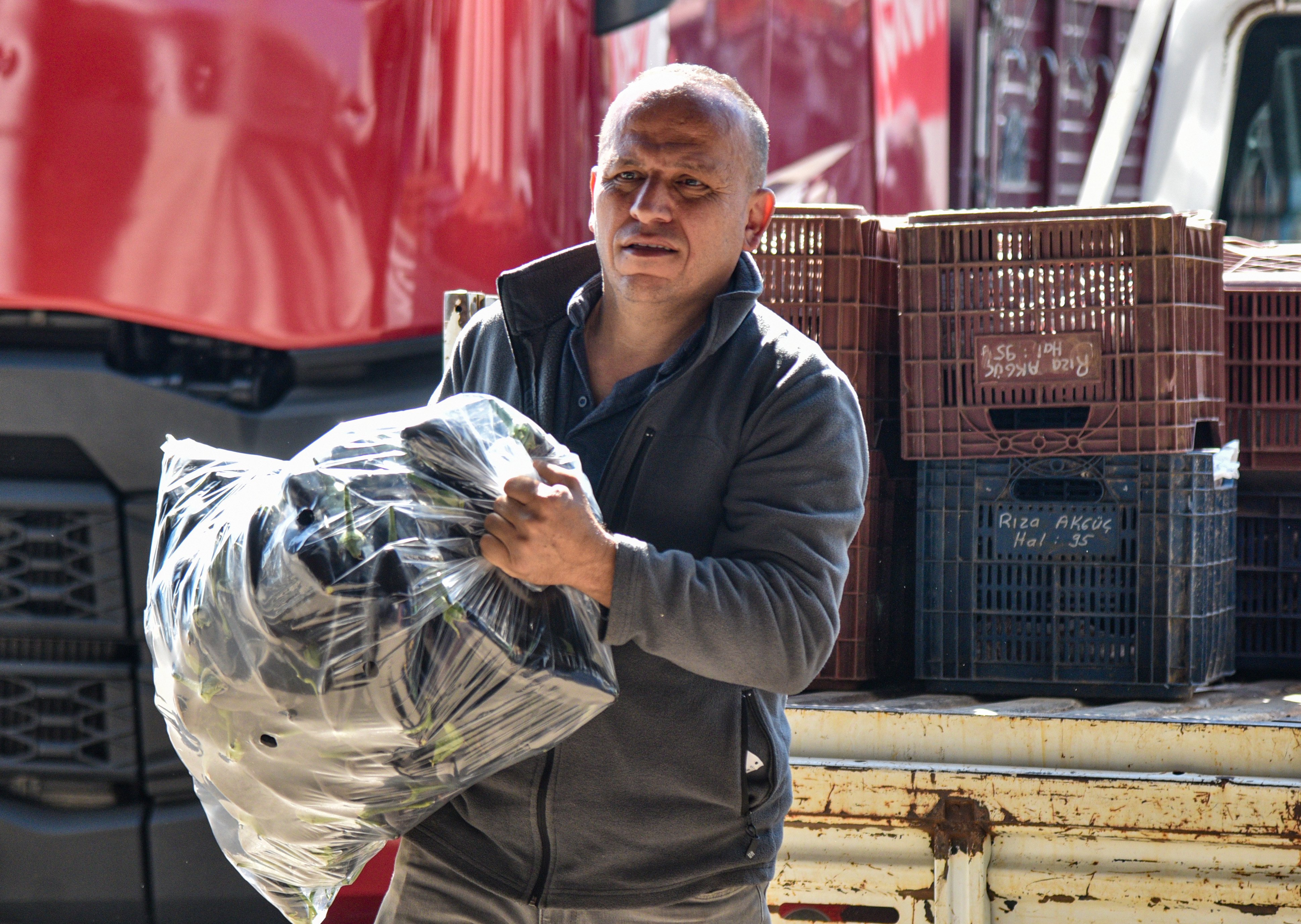 Antalya Hali Ürün Yükleme