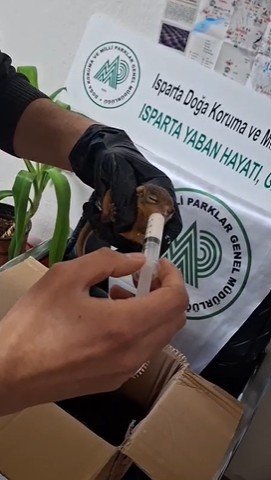 DKMP Ekipleri Çalışırken