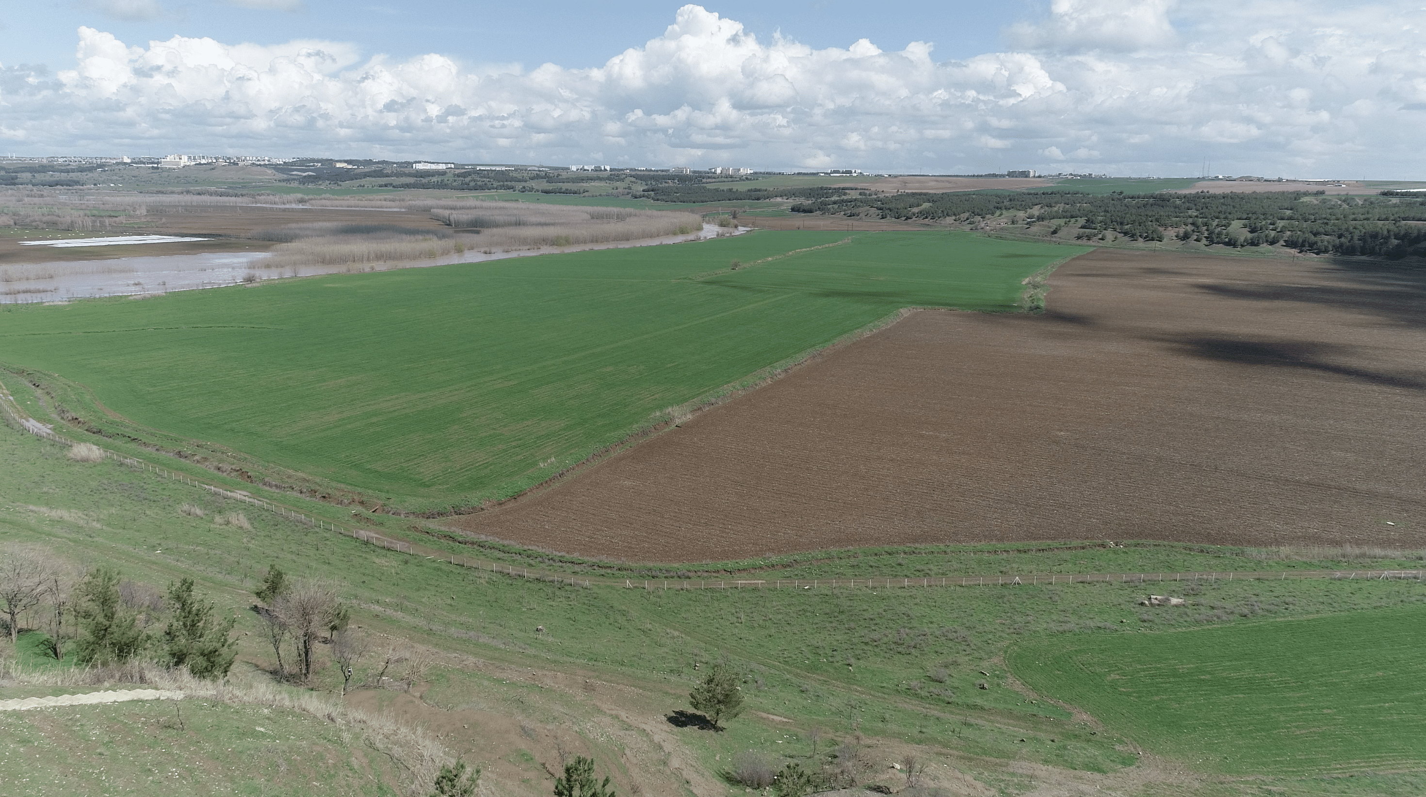 Diyarbakır kuraklık tarım arazisi