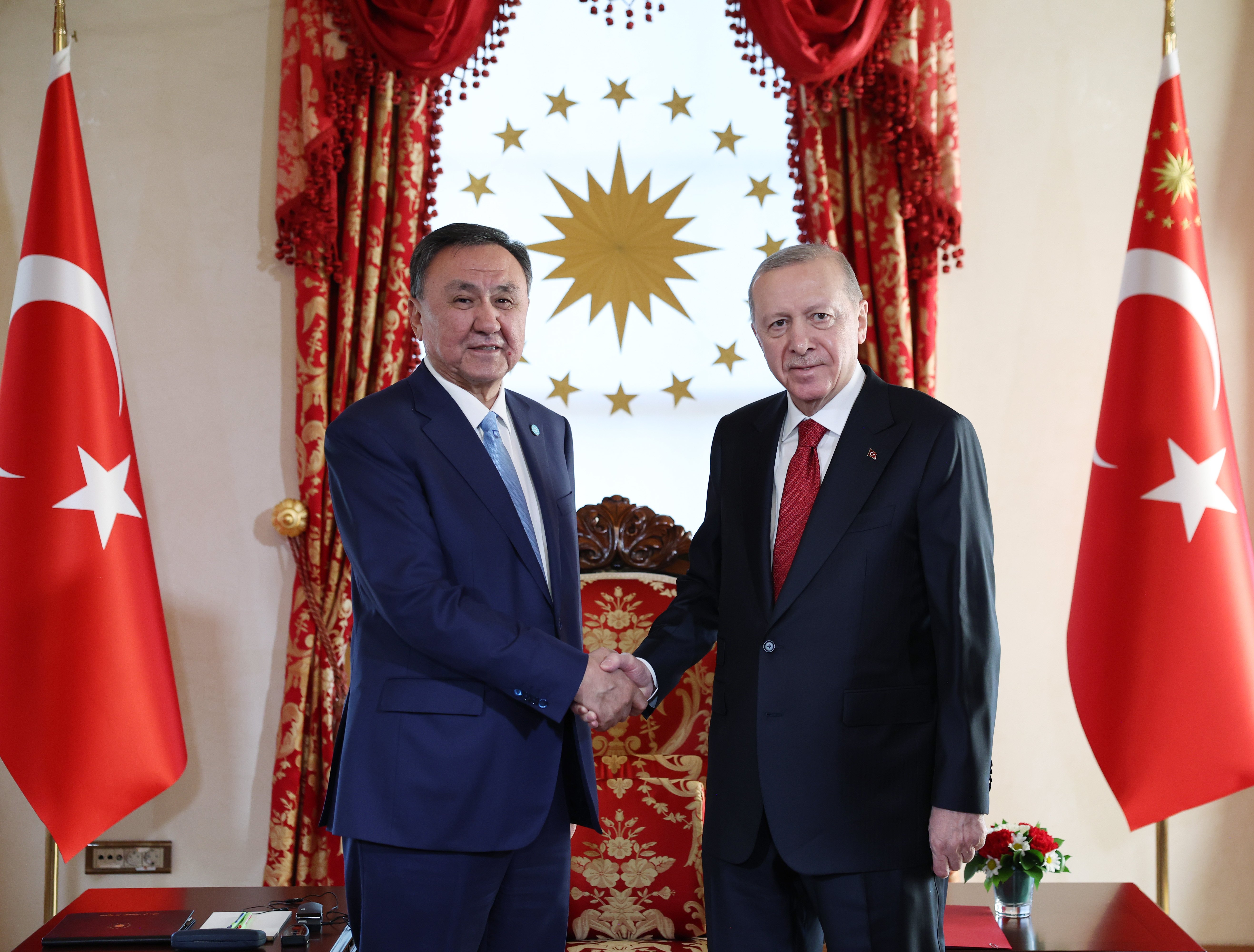 Türk Devletleri Teşkilatı İş Birliği