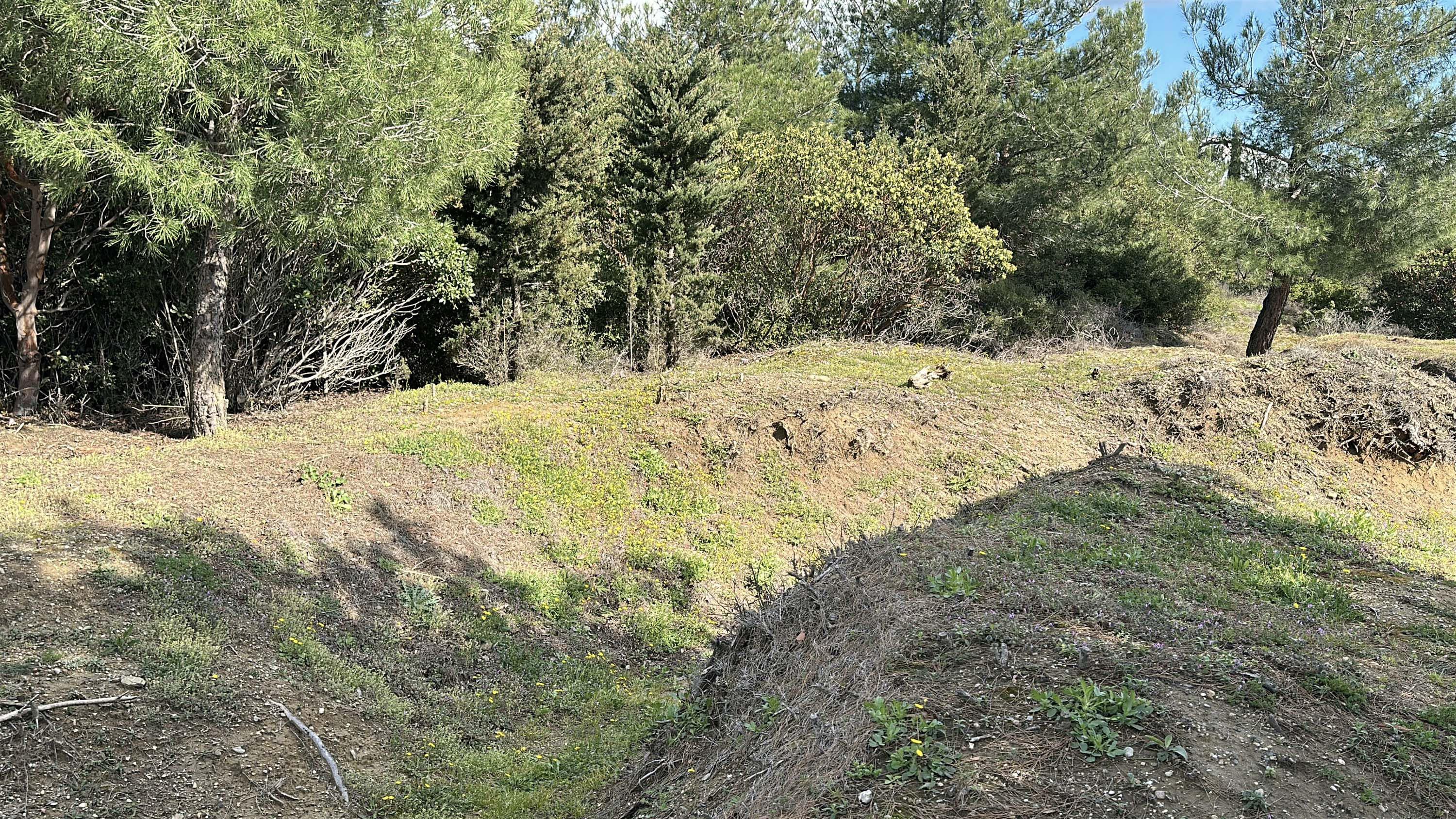 Dr. İsmail Sabah Çanakkale Savaşları Harp Cerideleri