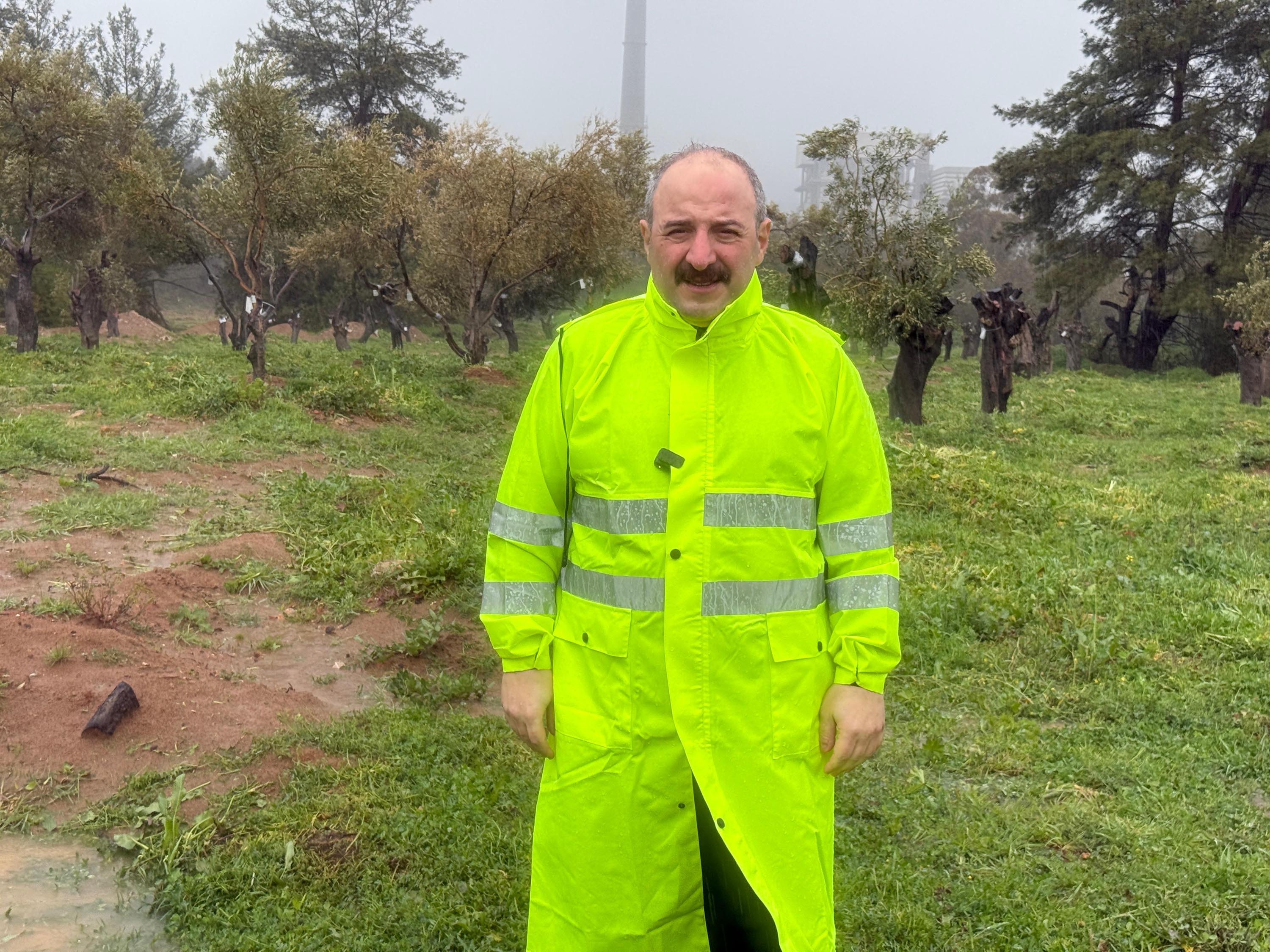 Mustafa Varank Zeytin Ağaçları İncelemesi