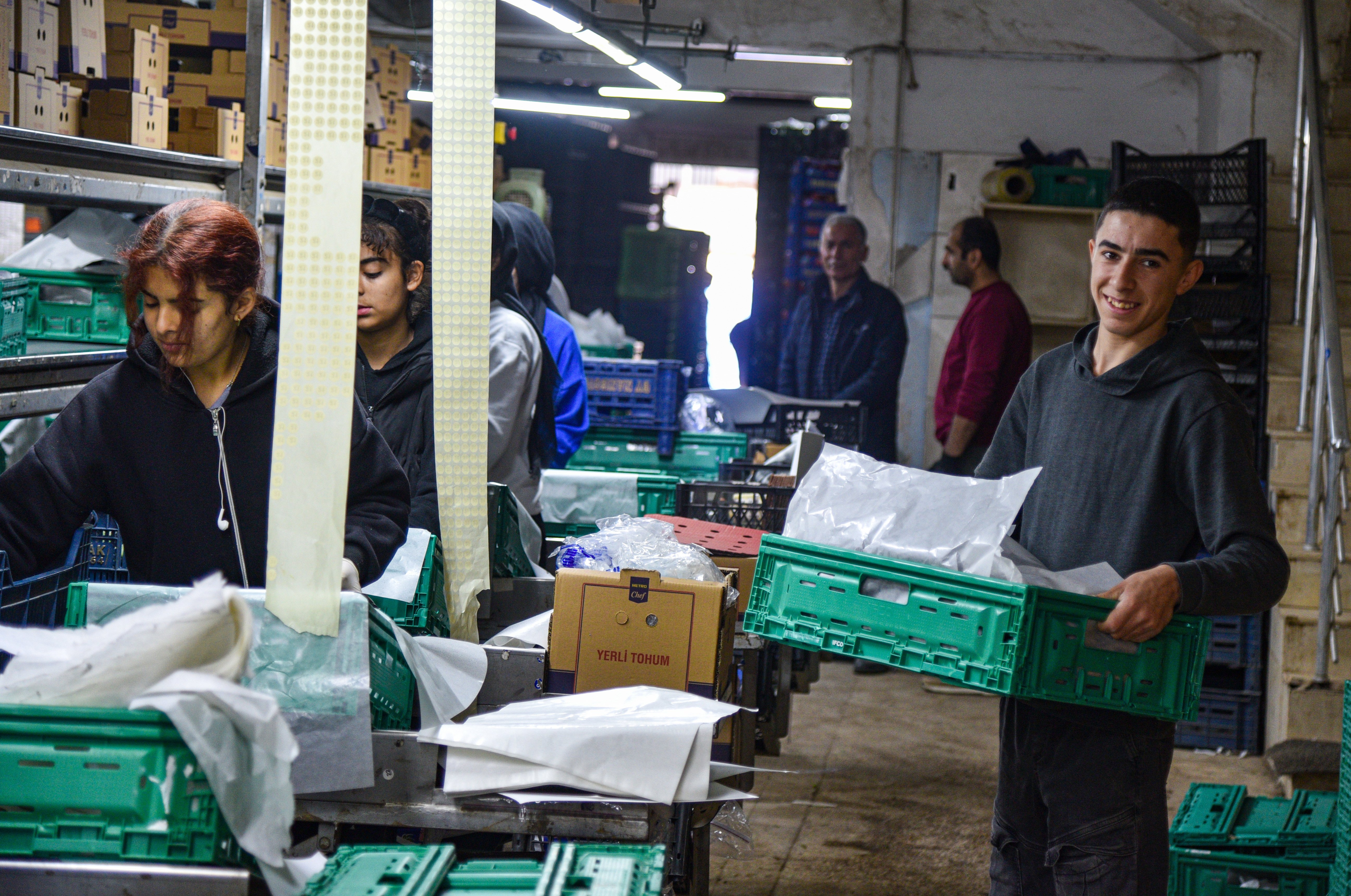 Antalya Hali Paketleme