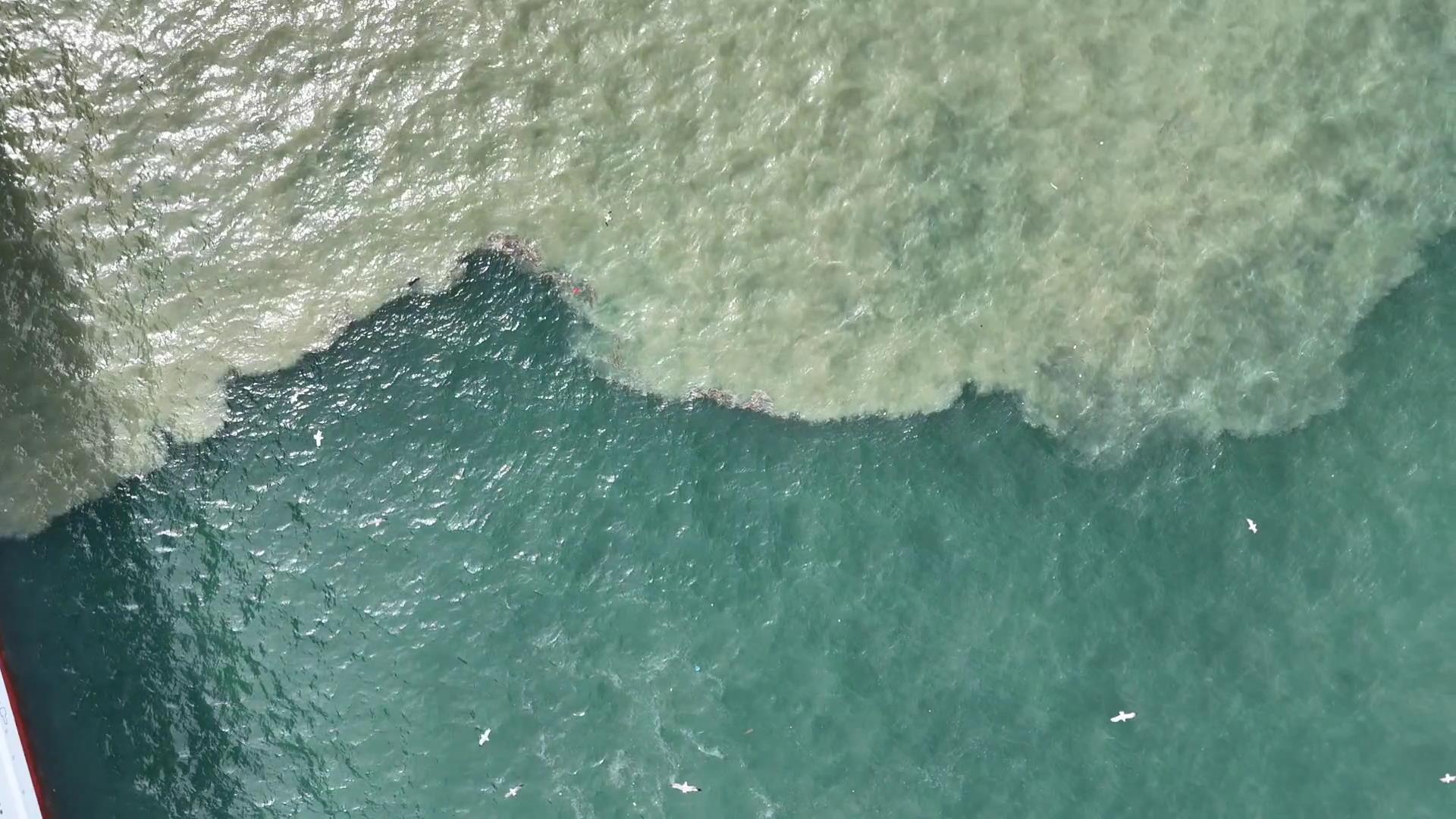 İstanbul Su Kirliliği