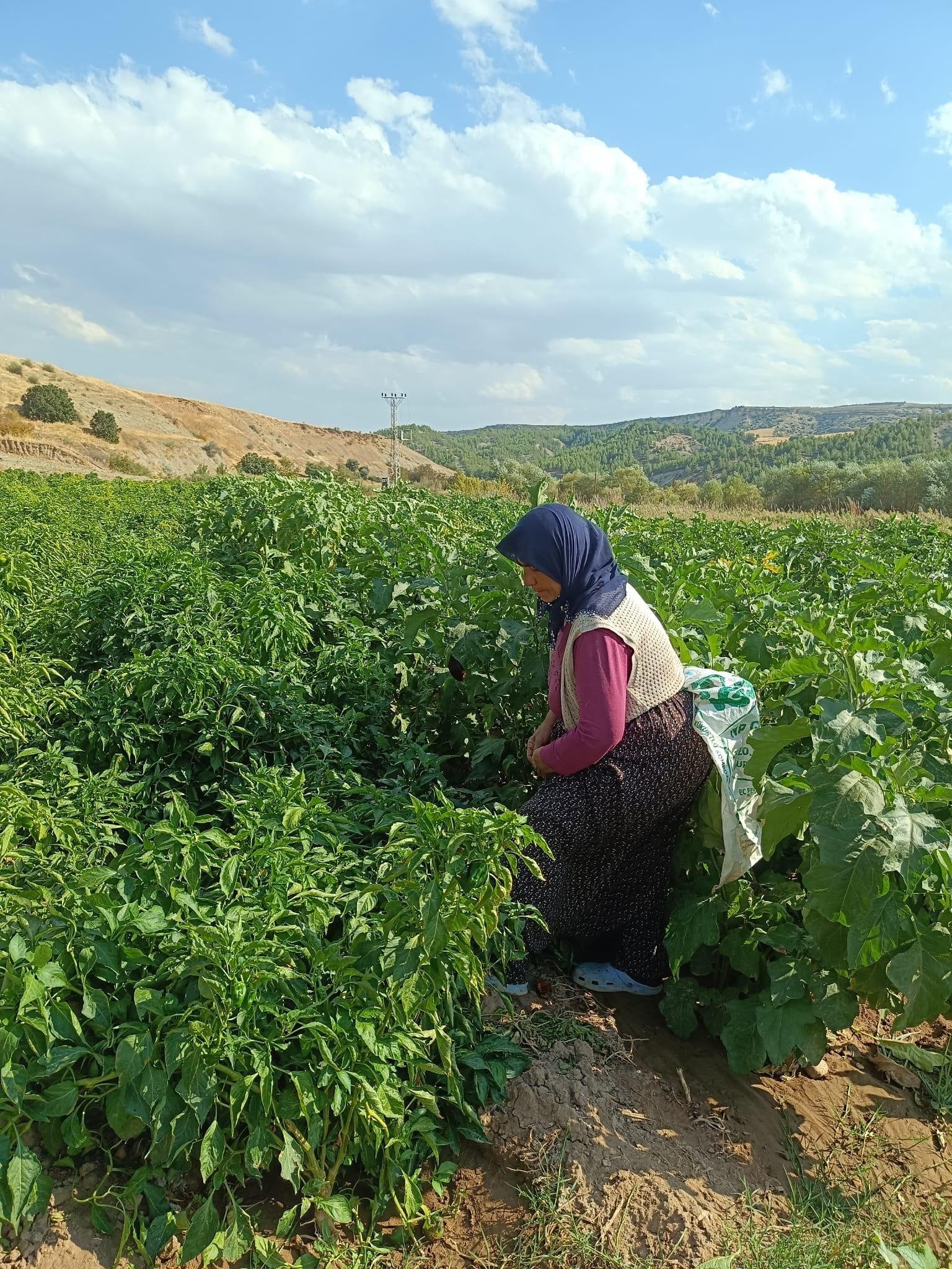 Adıyamanlı Kadınlar