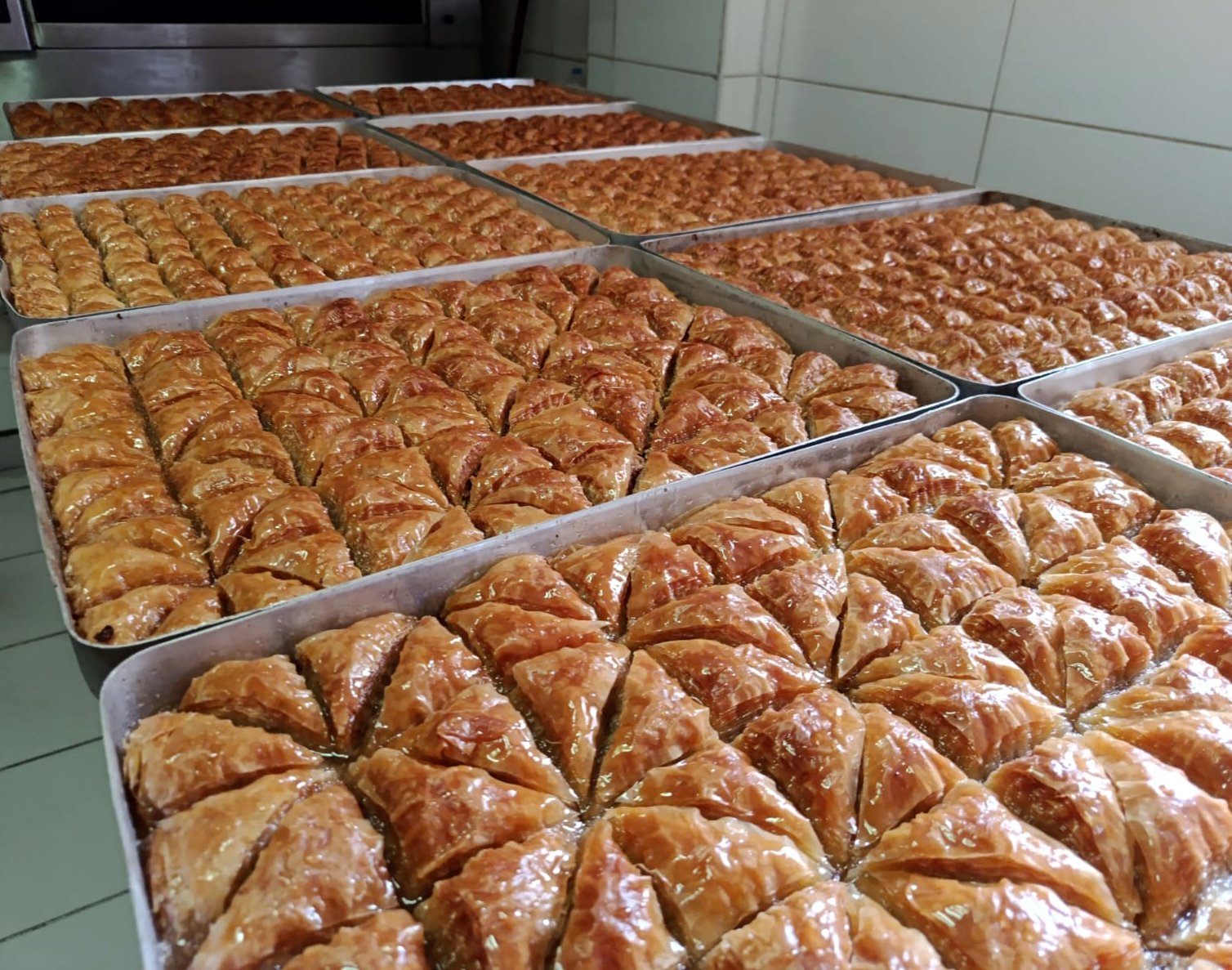 Tarım ve Orman İl Müdürü İslam Köse açıklama yapıyor