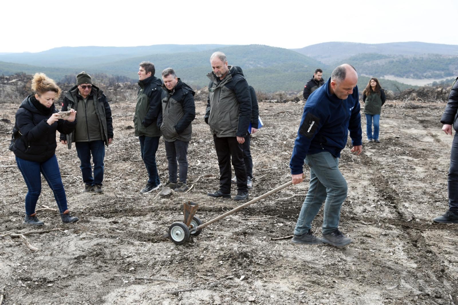 Orman yangını sonrası ağaçlandırma sahası