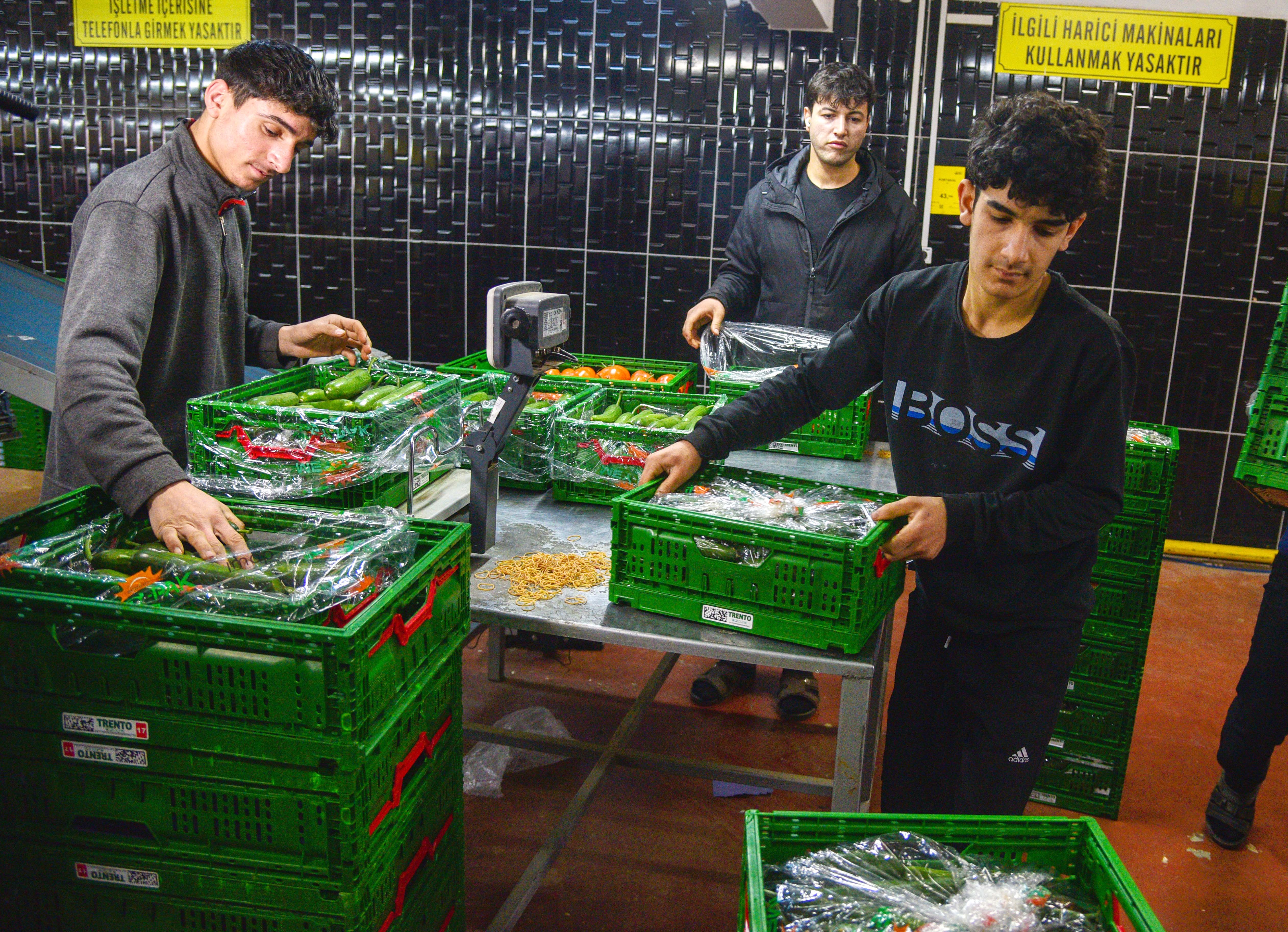 Sebze İhracatı Deniz Yolu