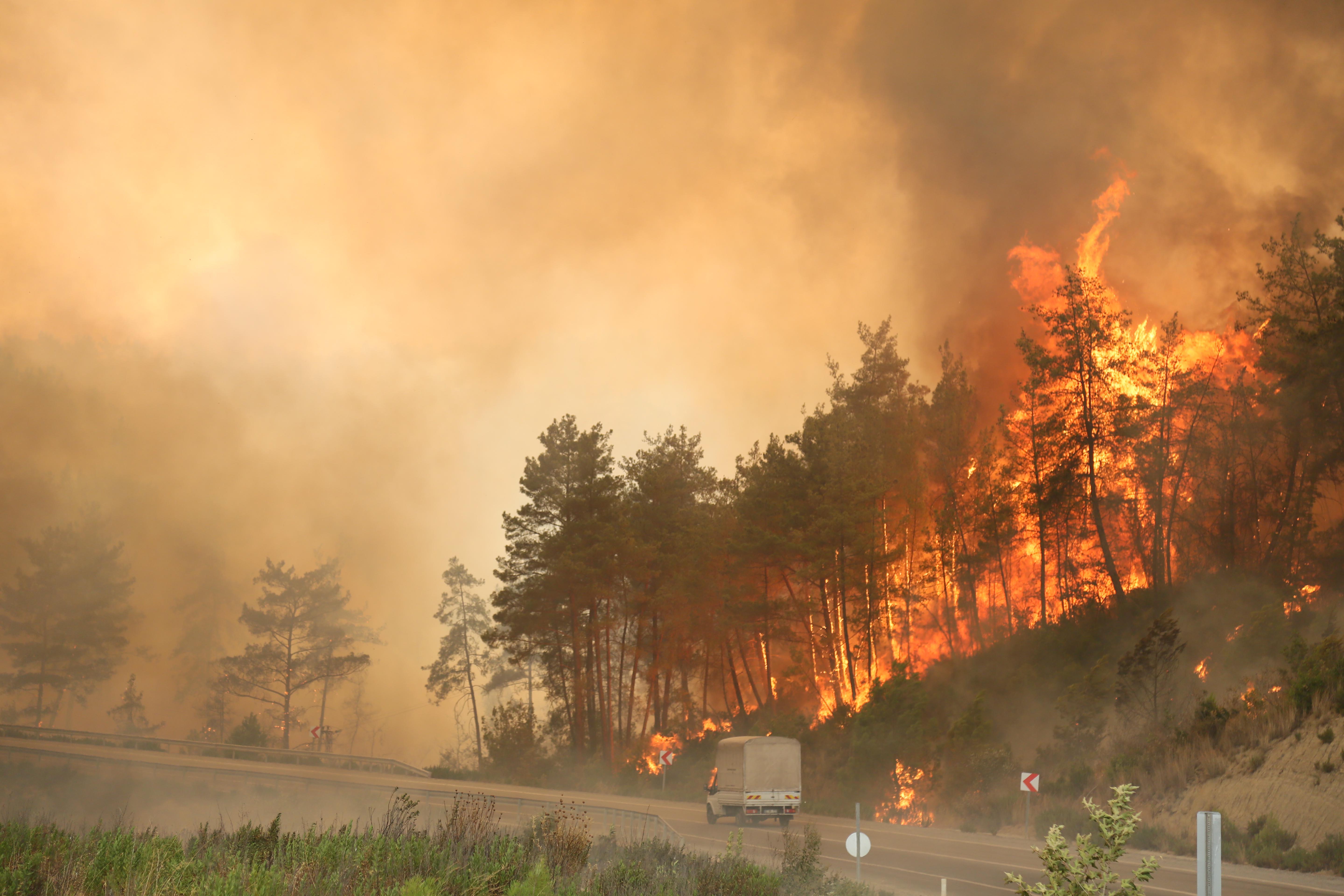 Orman Yangını İstatistikleri