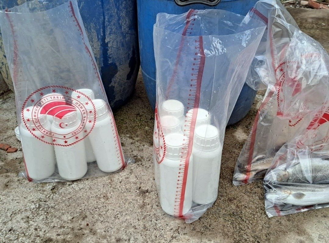 Sakarya balık ölümü inceleme Tarım Bakanlığı ekipleri